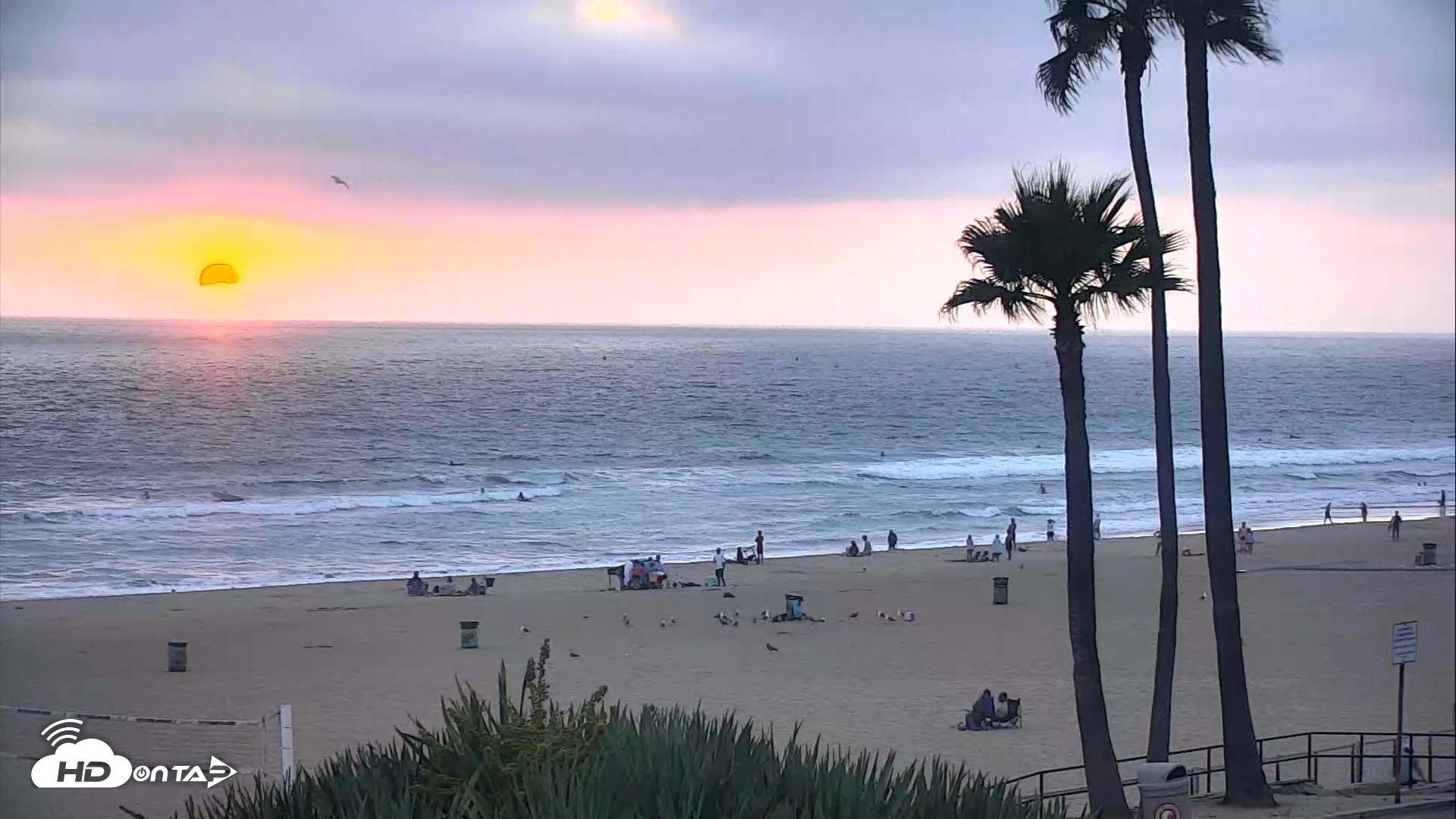 Snapshot of El Porto Beach Roving Live Cam taken Aug 2, 2026, 7:49pm PDT