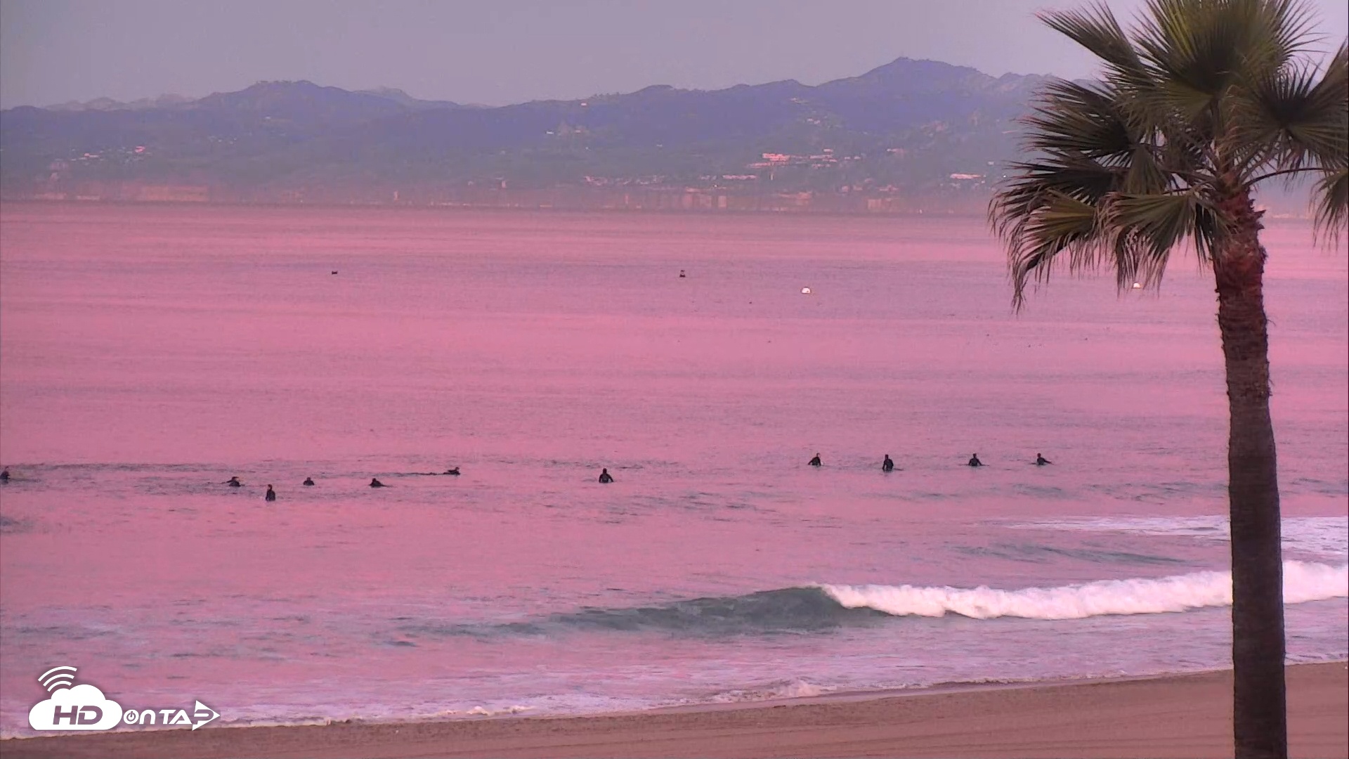 Snapshot of El Porto Beach Roving Live Cam taken Jan 17, 2026, 6:51am PST