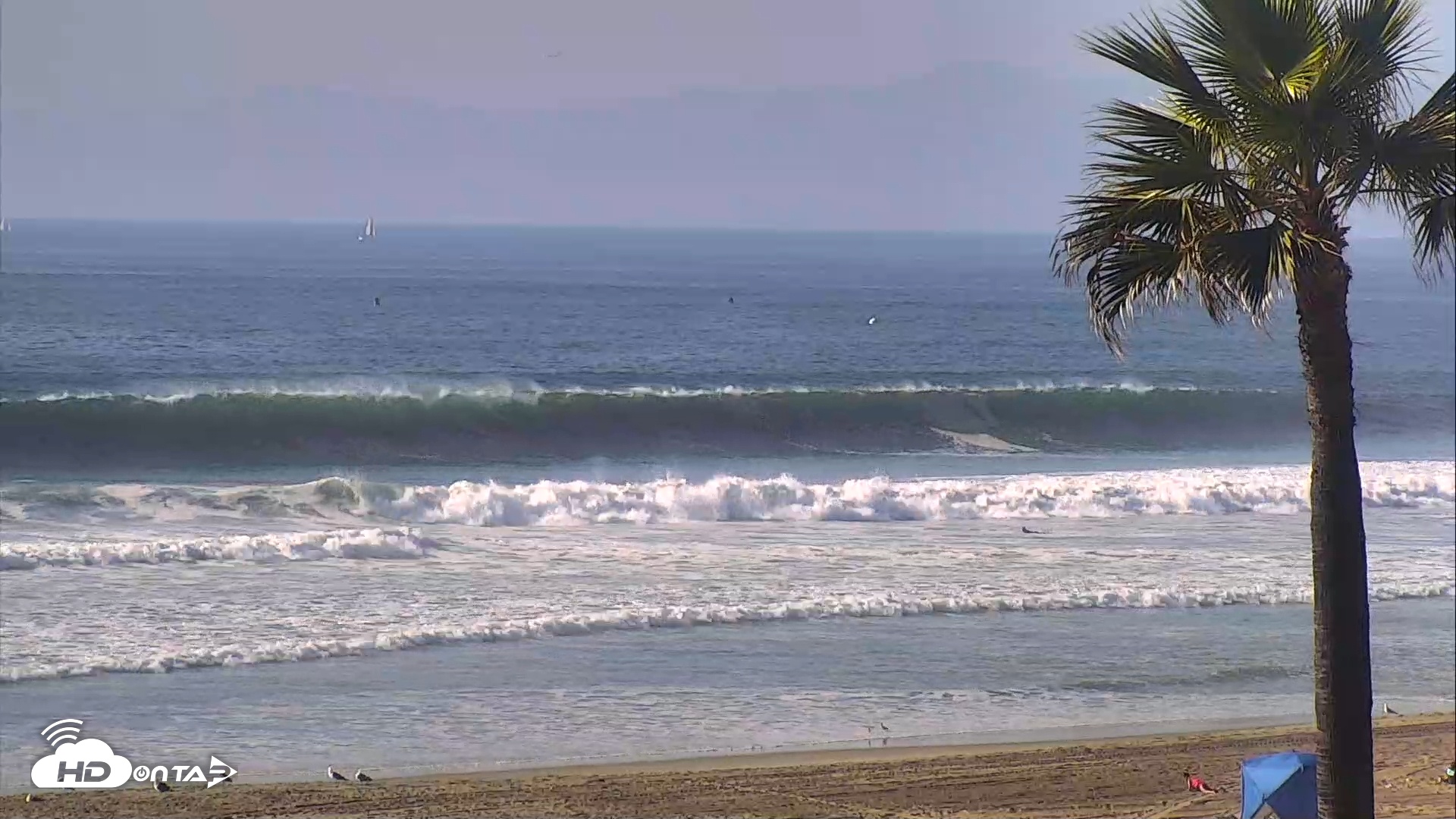 Snapshot of El Porto Beach Roving Live Cam taken Feb 3, 2026, 2:40pm PST