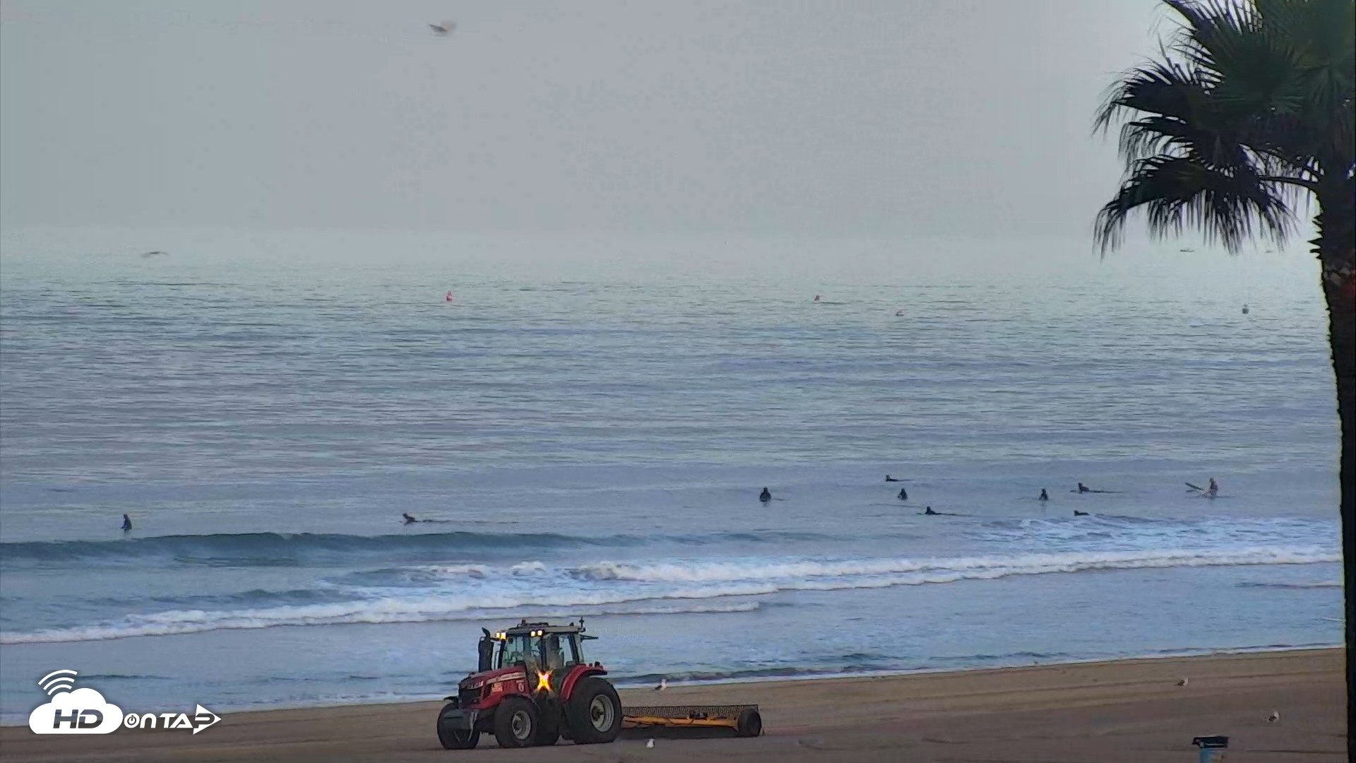 Snapshot of El Porto Beach Roving Live Cam taken Aug 25, 2026, 6:42am PDT