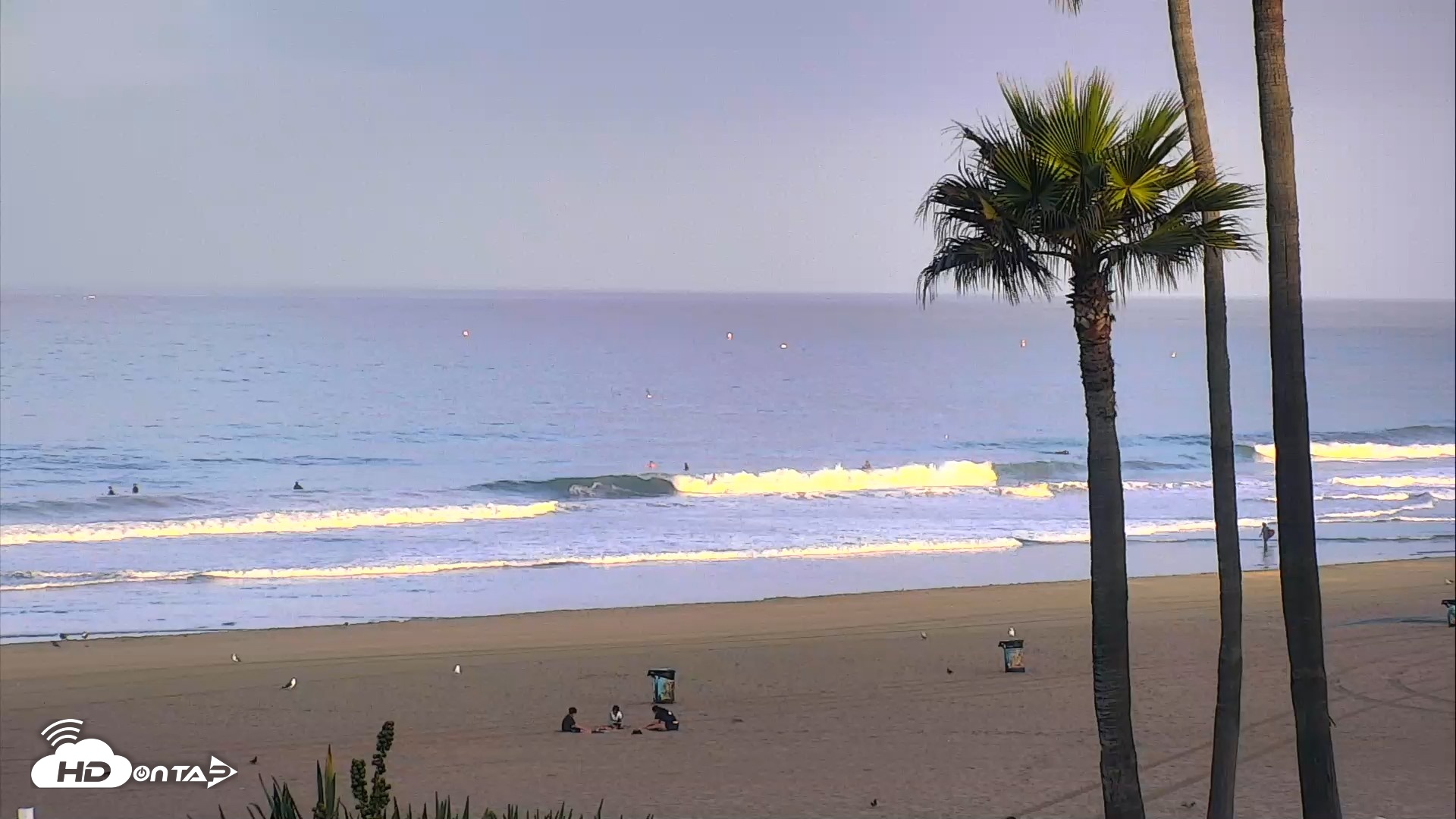 Snapshot of El Porto Beach Roving Live Cam taken Aug 31, 2026, 7:06am PDT