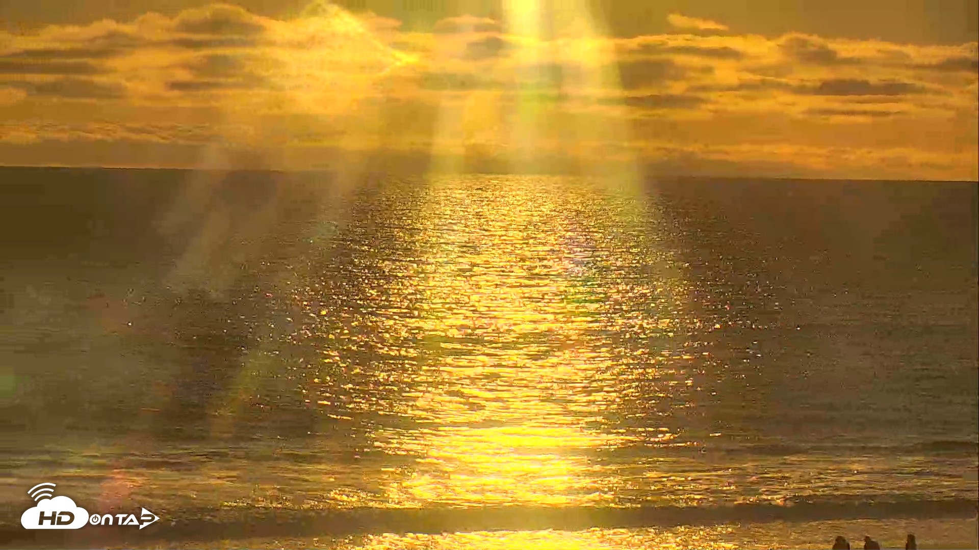 Snapshot of El Porto Beach Roving Live Cam taken Apr 10, 2026, 6:49pm PDT