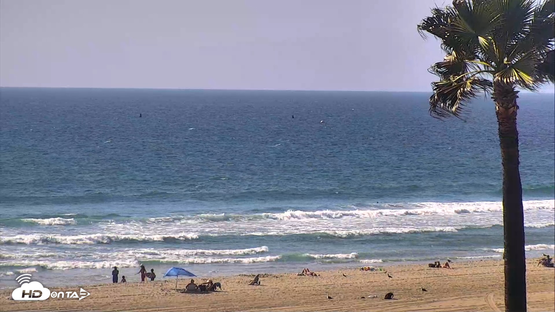 Snapshot of El Porto Beach Roving Live Cam taken Sep 15, 2026, 3:49pm PDT