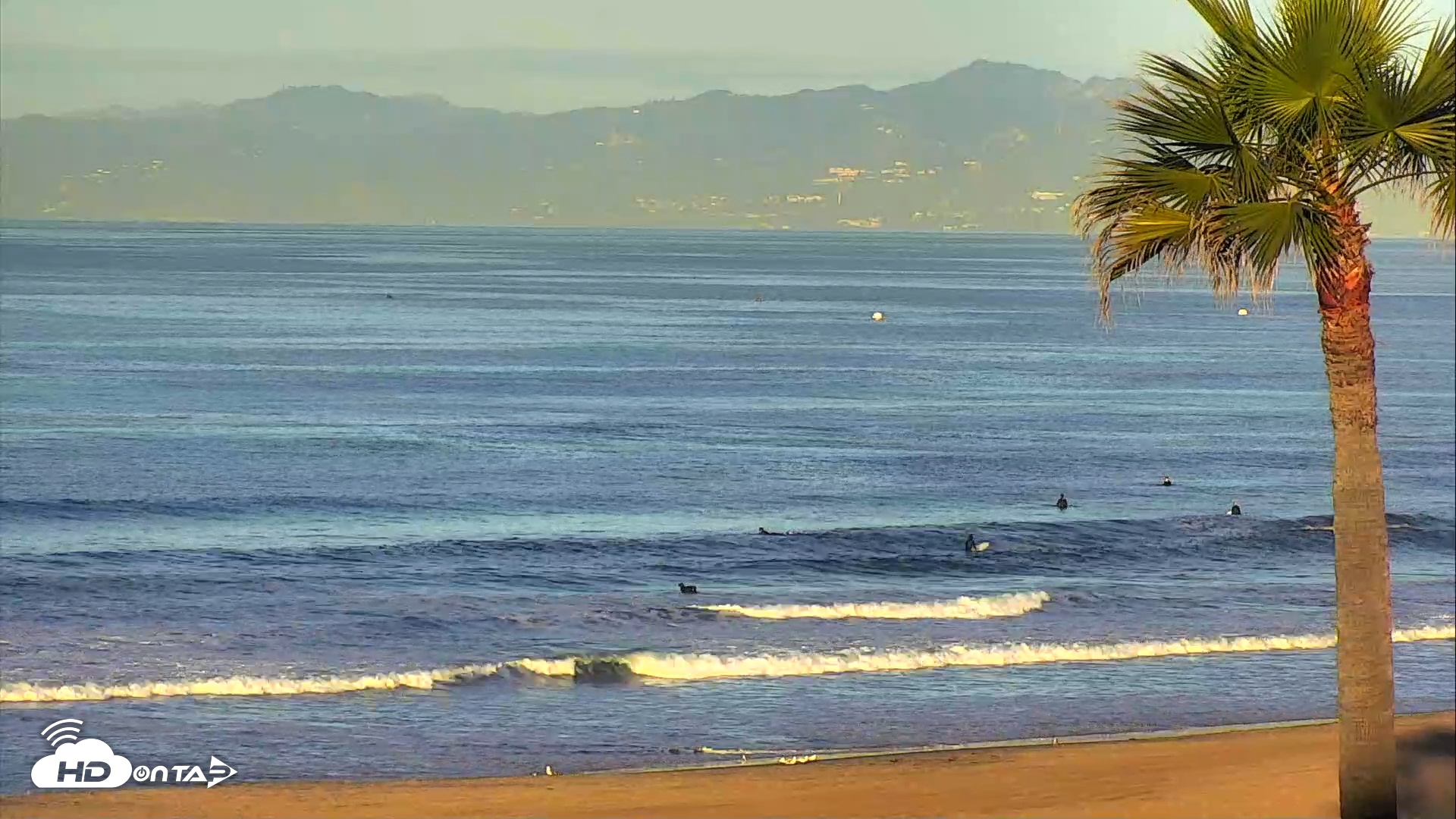 Snapshot of El Porto Beach Roving Live Cam taken Jan 7, 2026, 7:52am PST