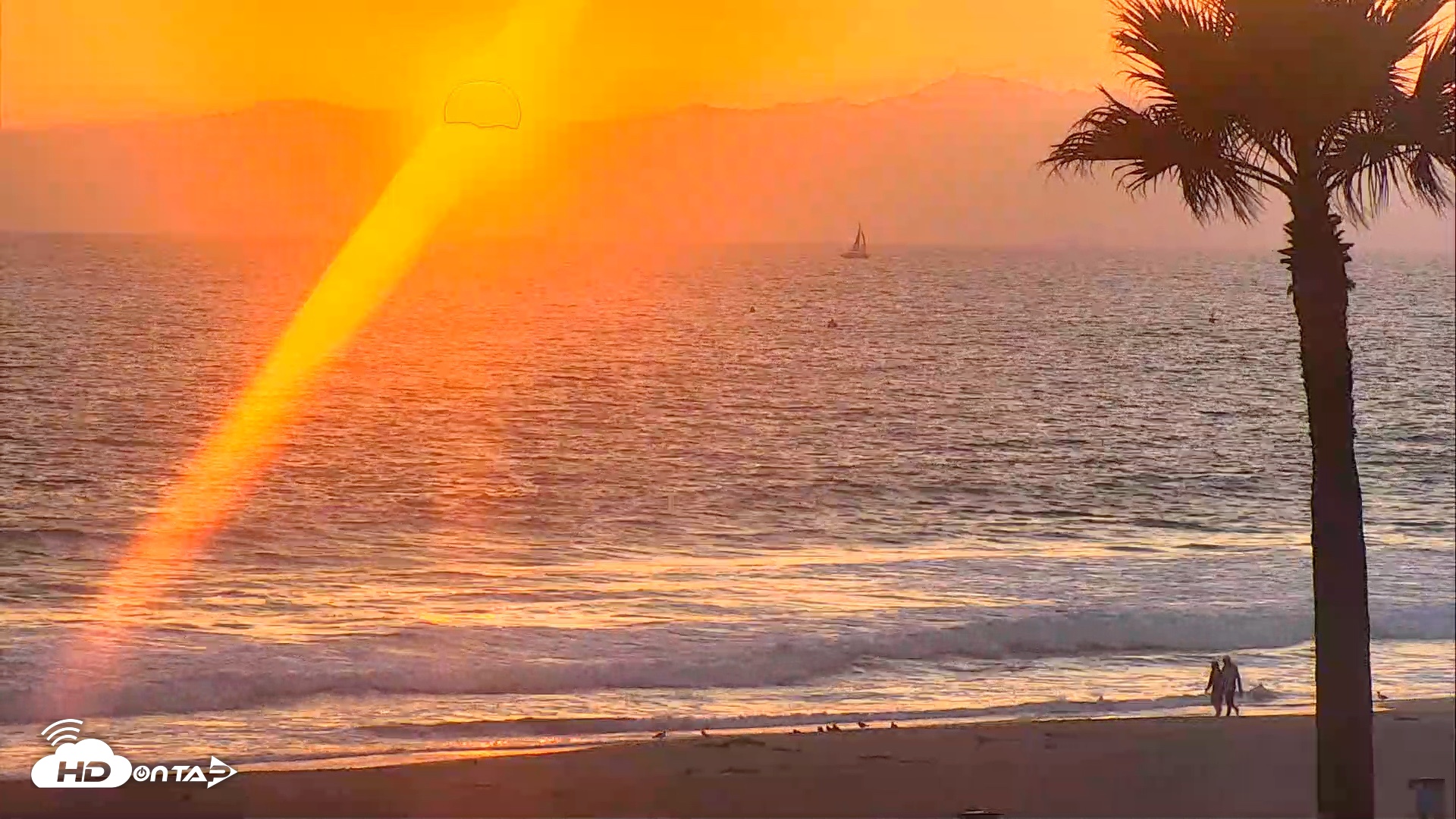Snapshot of El Porto Beach Roving Live Cam taken Jul 1, 2026, 8:02pm PDT
