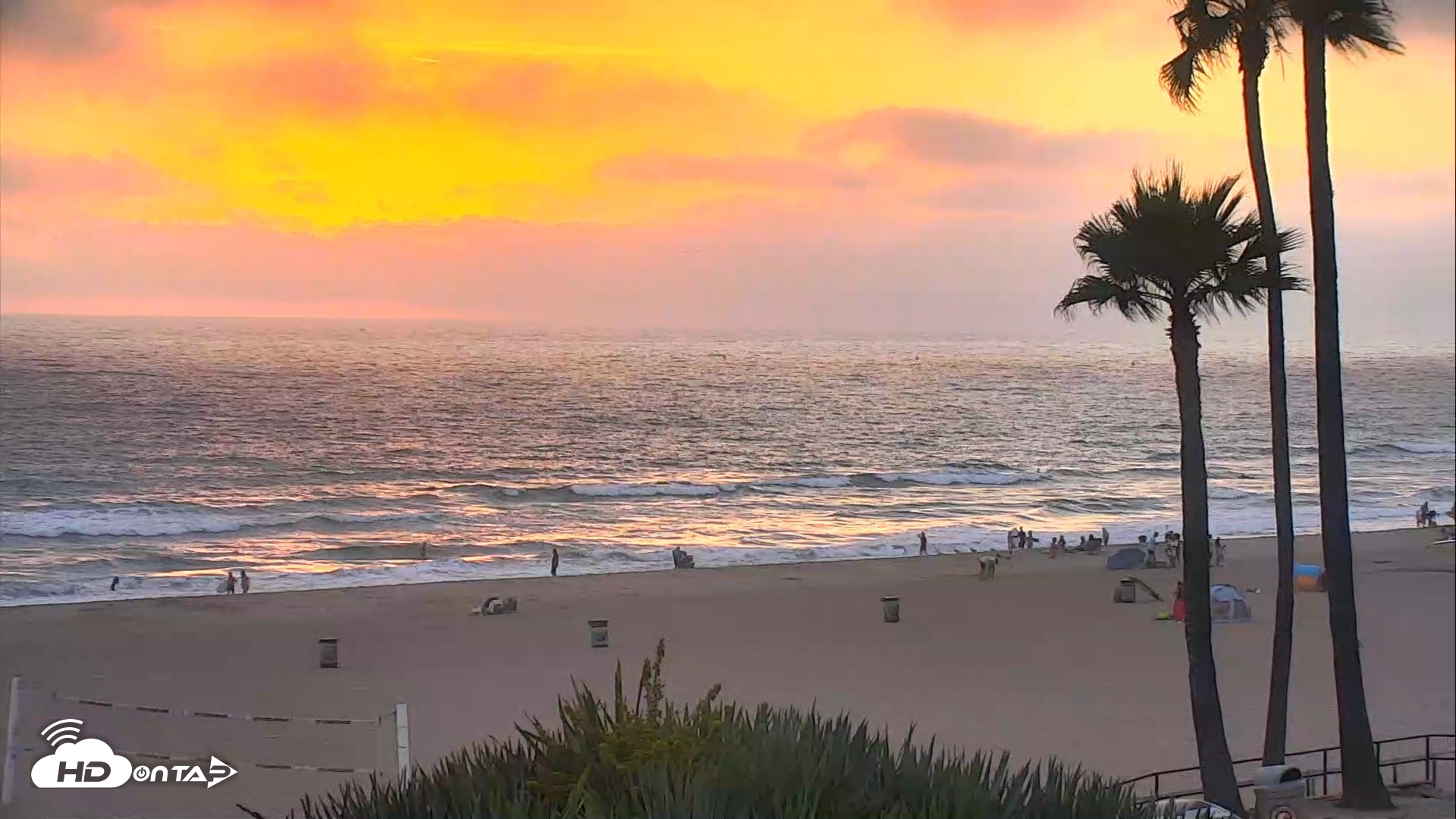 Snapshot of El Porto Beach Roving Live Cam taken Jul 31, 2026, 7:53pm PDT