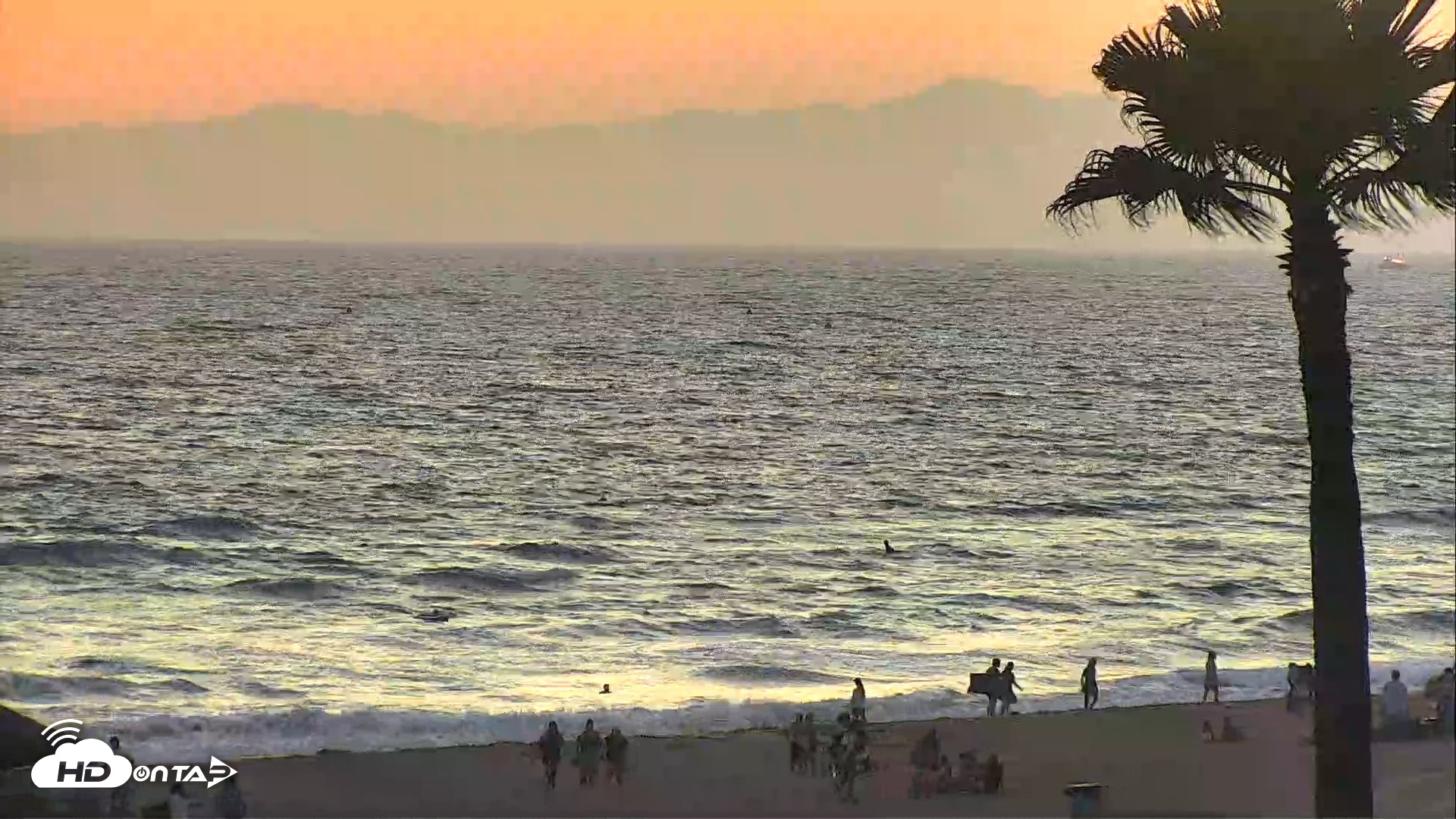 Snapshot of El Porto Beach Roving Live Cam taken Aug 8, 2026, 7:49pm PDT