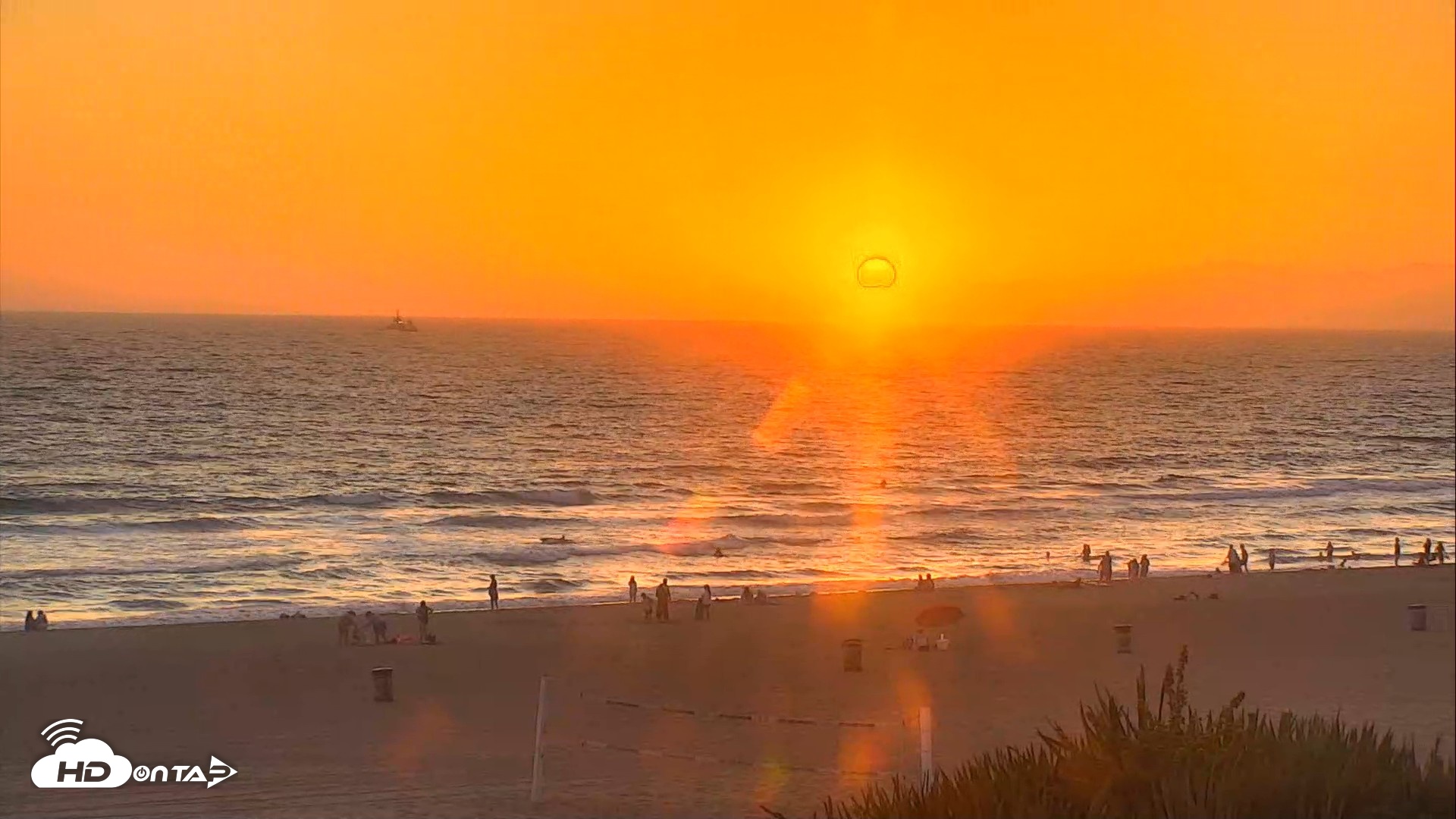 Snapshot of El Porto Beach Roving Live Cam taken Aug 1, 2026, 7:49pm PDT