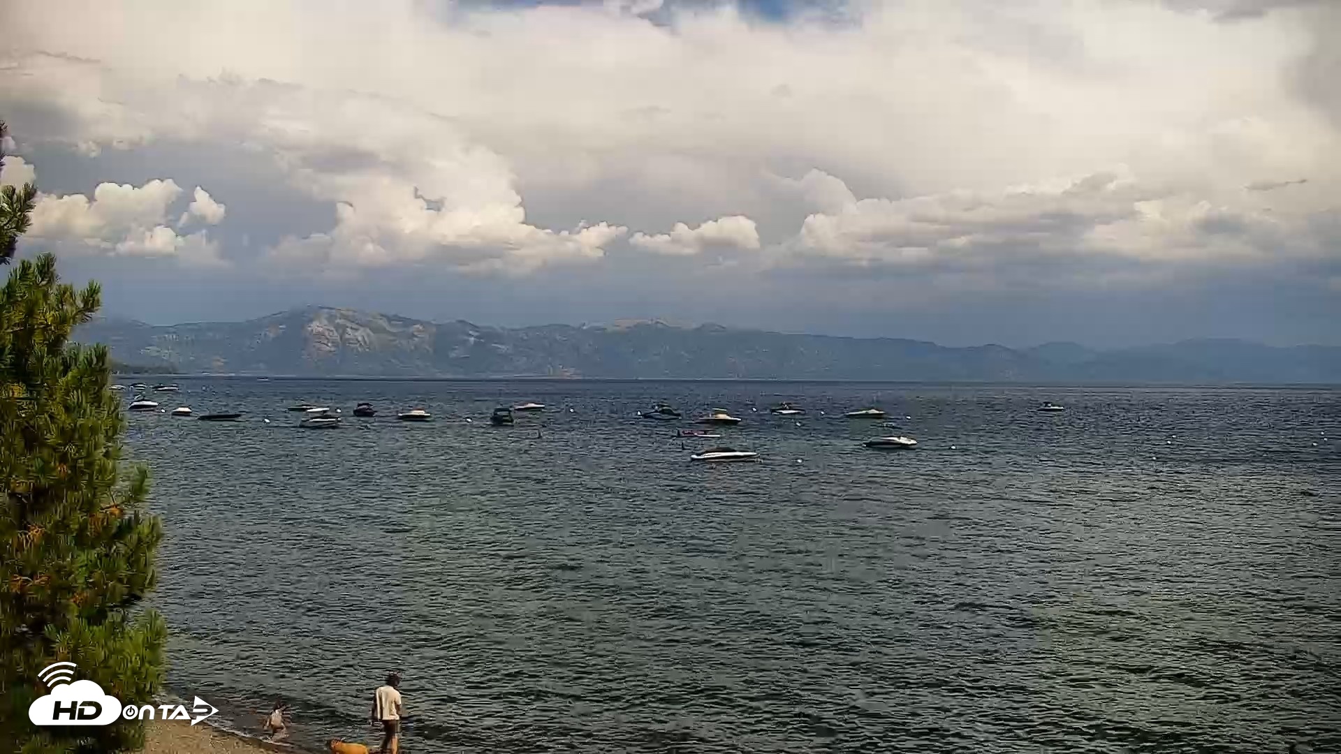Snapshot of Garwoods Grill and Pier Live Cam taken Aug 12, 2026, 3:16pm PDT
