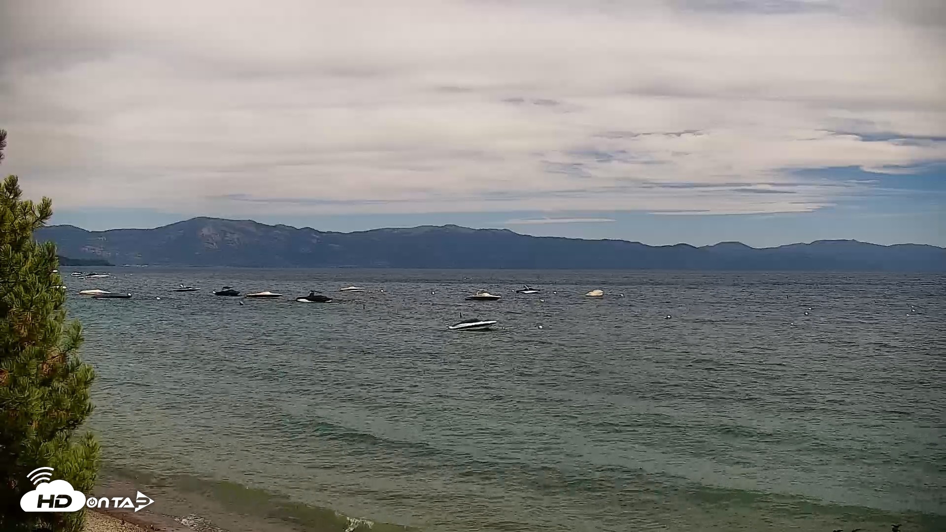 Snapshot of Garwoods Grill and Pier Live Cam taken Sep 1, 2026, 3:29pm PDT
