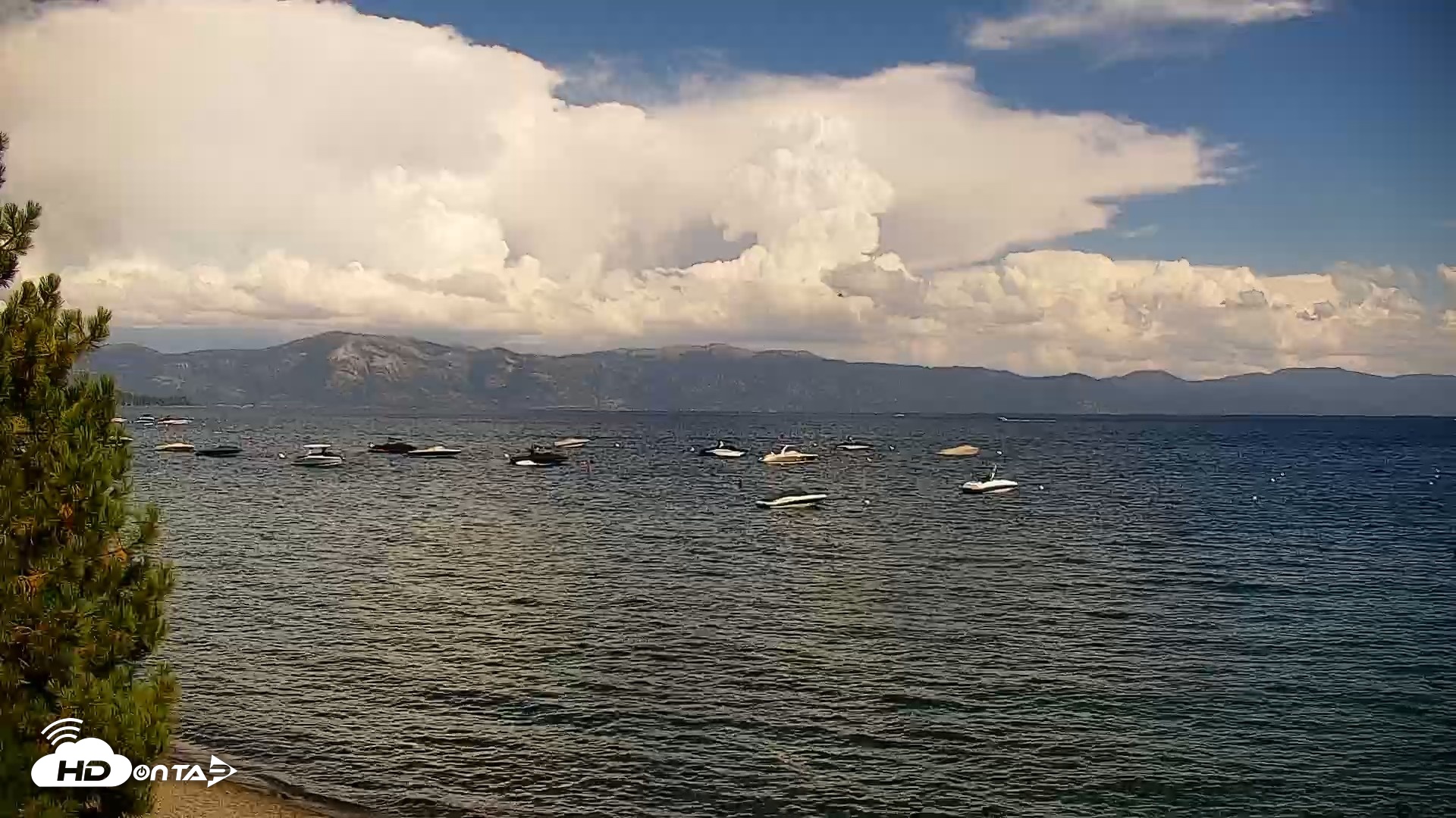 Snapshot of Garwoods Grill and Pier Live Cam taken Aug 14, 2026, 3:47pm PDT
