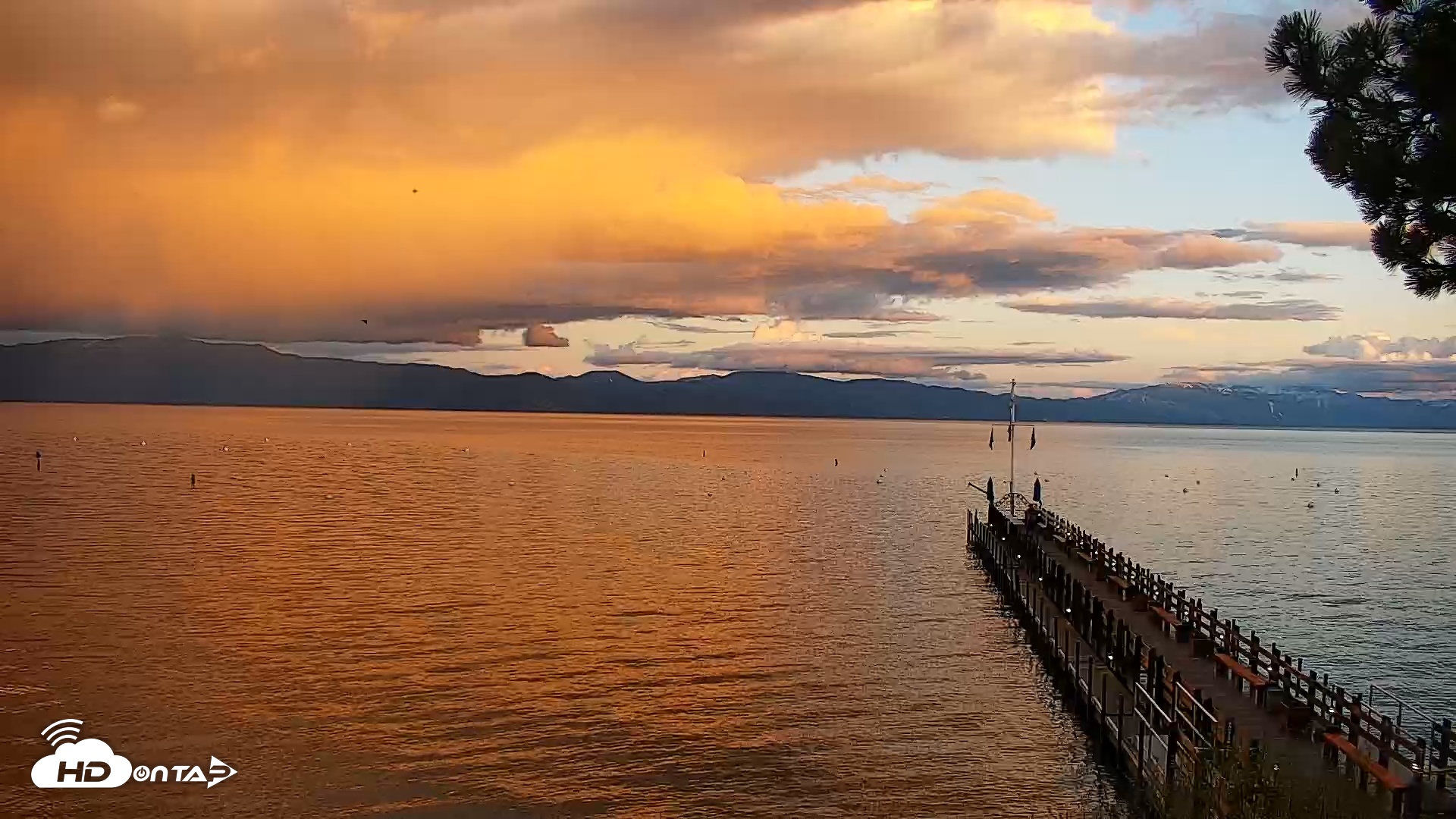 Snapshot of Garwoods Grill and Pier taken May 14, 2025, 8:00pm PDT