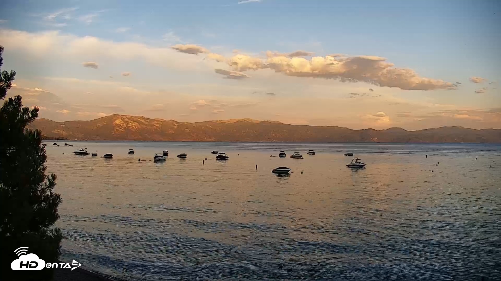 Snapshot of Garwoods Grill and Pier Live Cam taken Aug 11, 2026, 7:41pm PDT