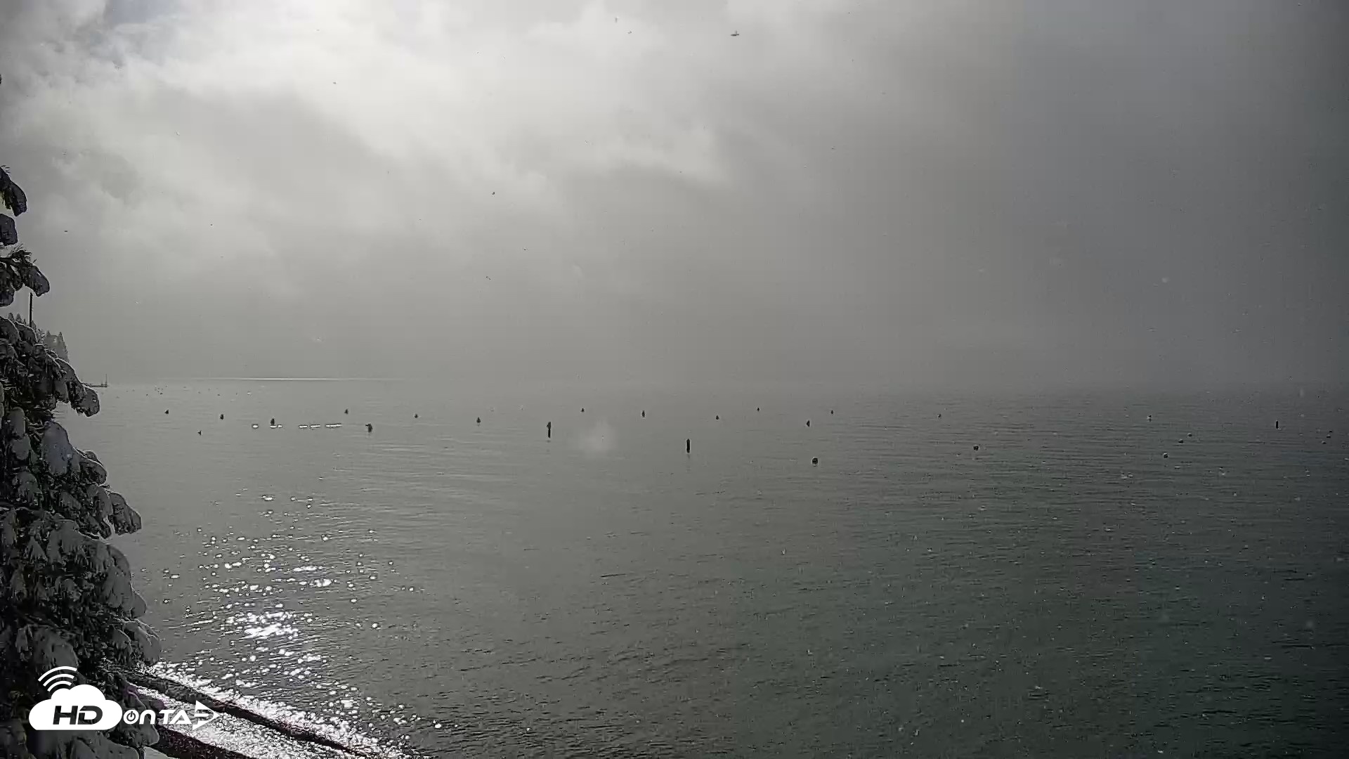 Snapshot of Garwoods Grill and Pier Live Cam taken Apr 12, 2026, 8:29am PDT