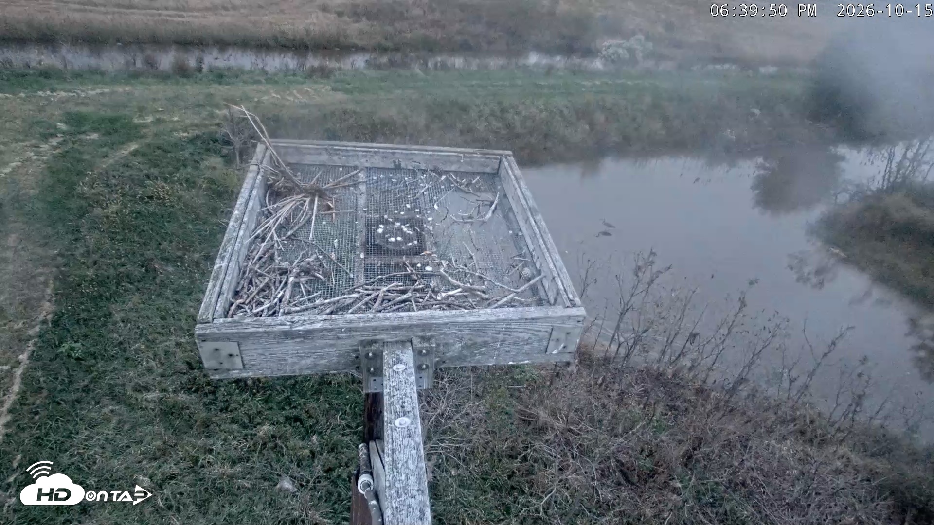 Snapshot of Blackwater Wildlife Refuge Ospreys Live Cam taken Oct 15, 2026, 6:40pm EDT