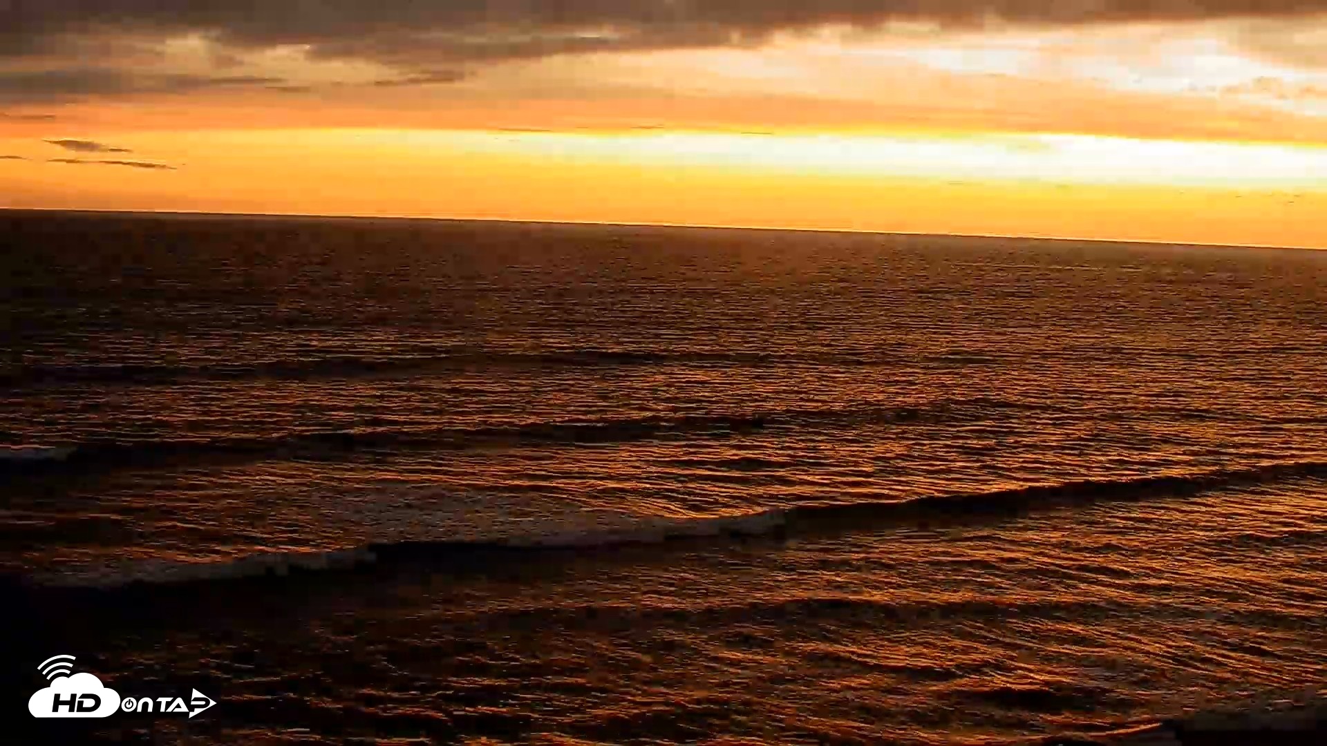 Snapshot of Terramar Point Surf Live Webcam taken Apr 20, 2026, 7:39pm PDT