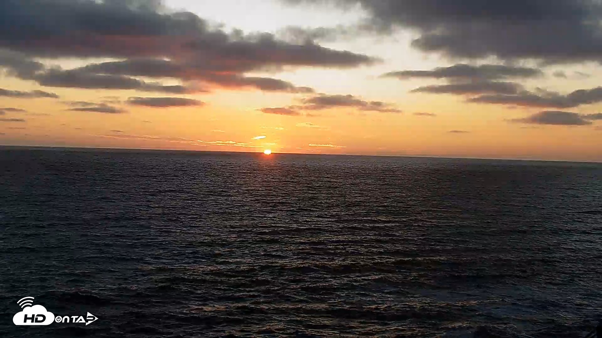 Snapshot of Terramar Point Surf Live Webcam taken Jul 23, 2025, 7:55pm PDT