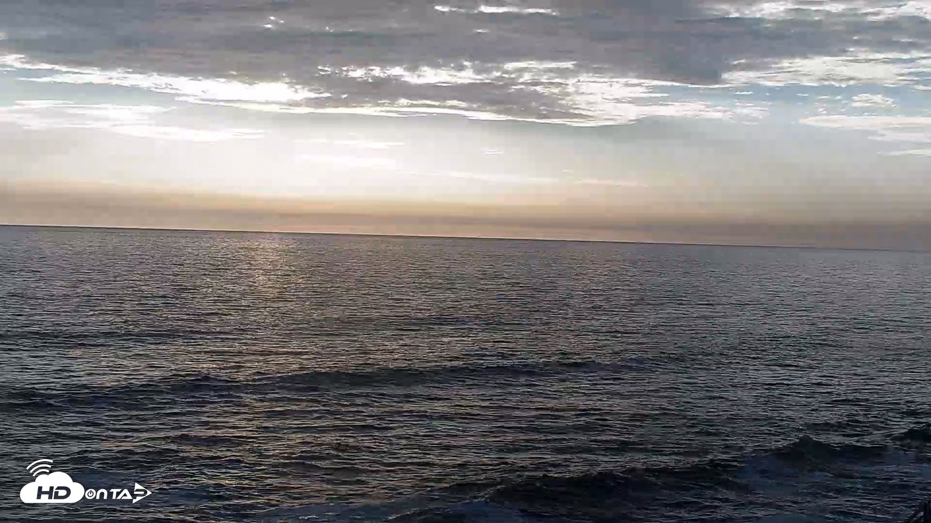 Snapshot of Terramar Point Surf Live Webcam taken Jul 12, 2026, 7:16pm PDT