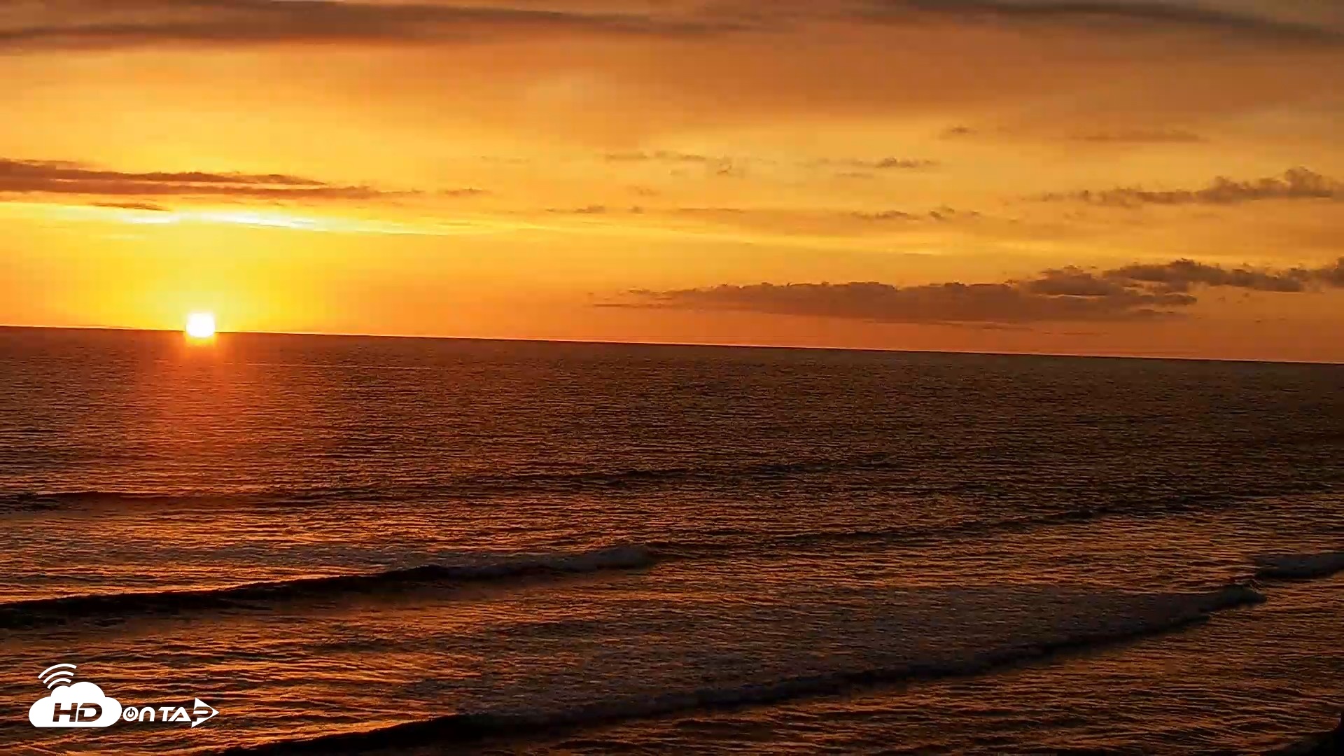Snapshot of Terramar Point Surf Live Webcam taken Apr 20, 2026, 7:23pm PDT