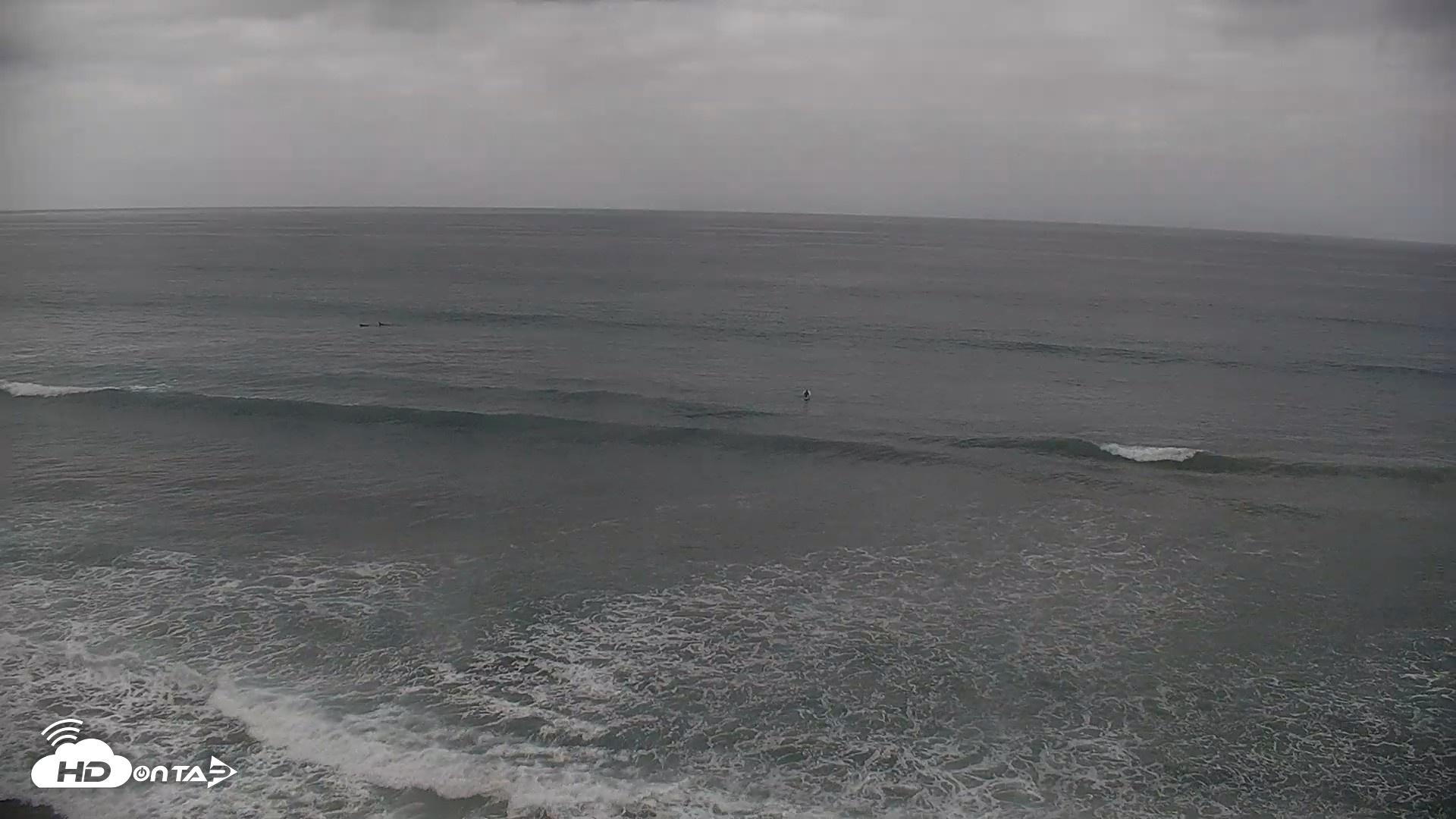 Snapshot of Terramar Point Surf Live Webcam taken Sep 16, 2026, 9:20am PDT