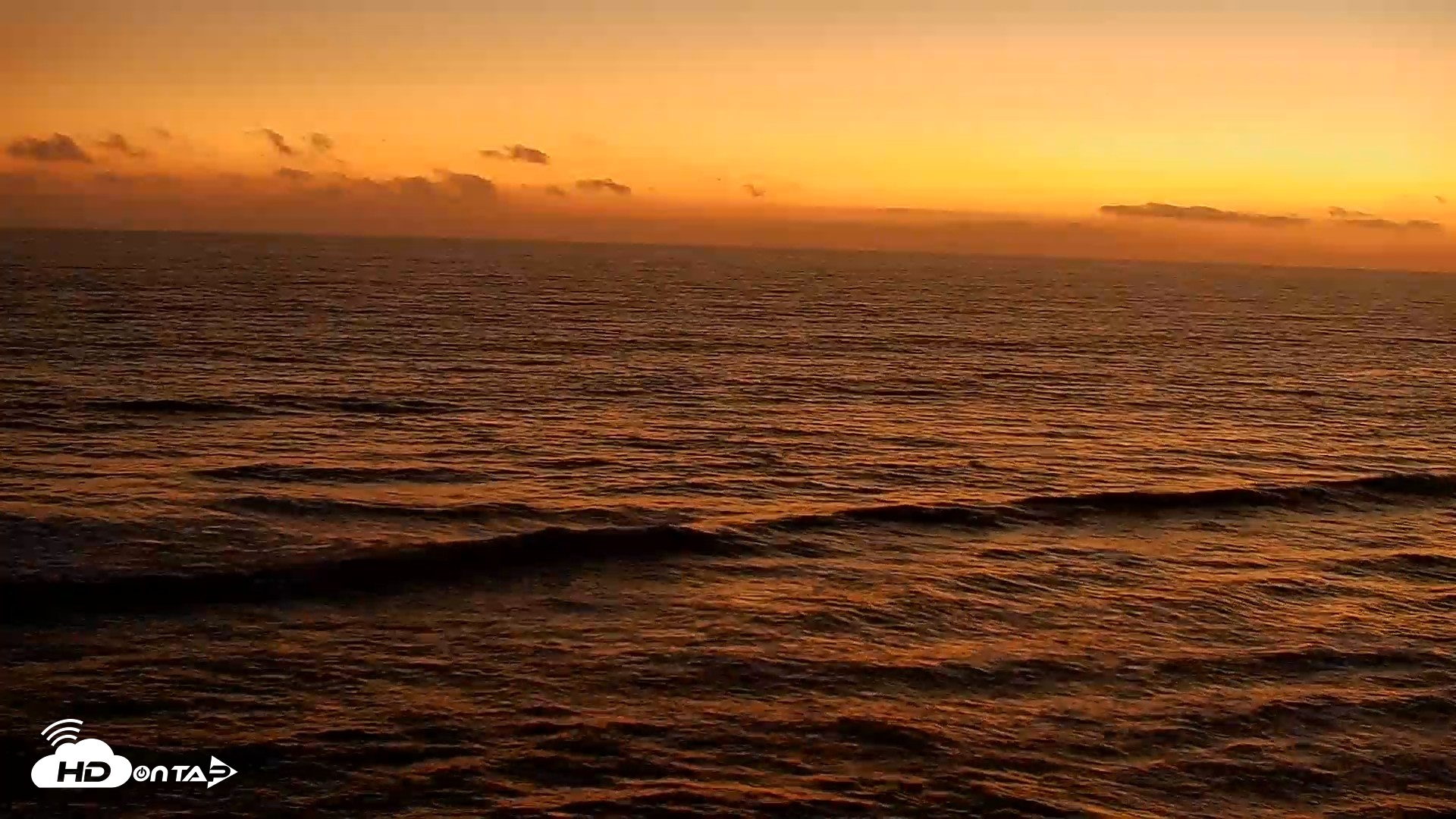 Snapshot of Terramar Point Surf Live Webcam taken Aug 8, 2026, 8:11pm PDT