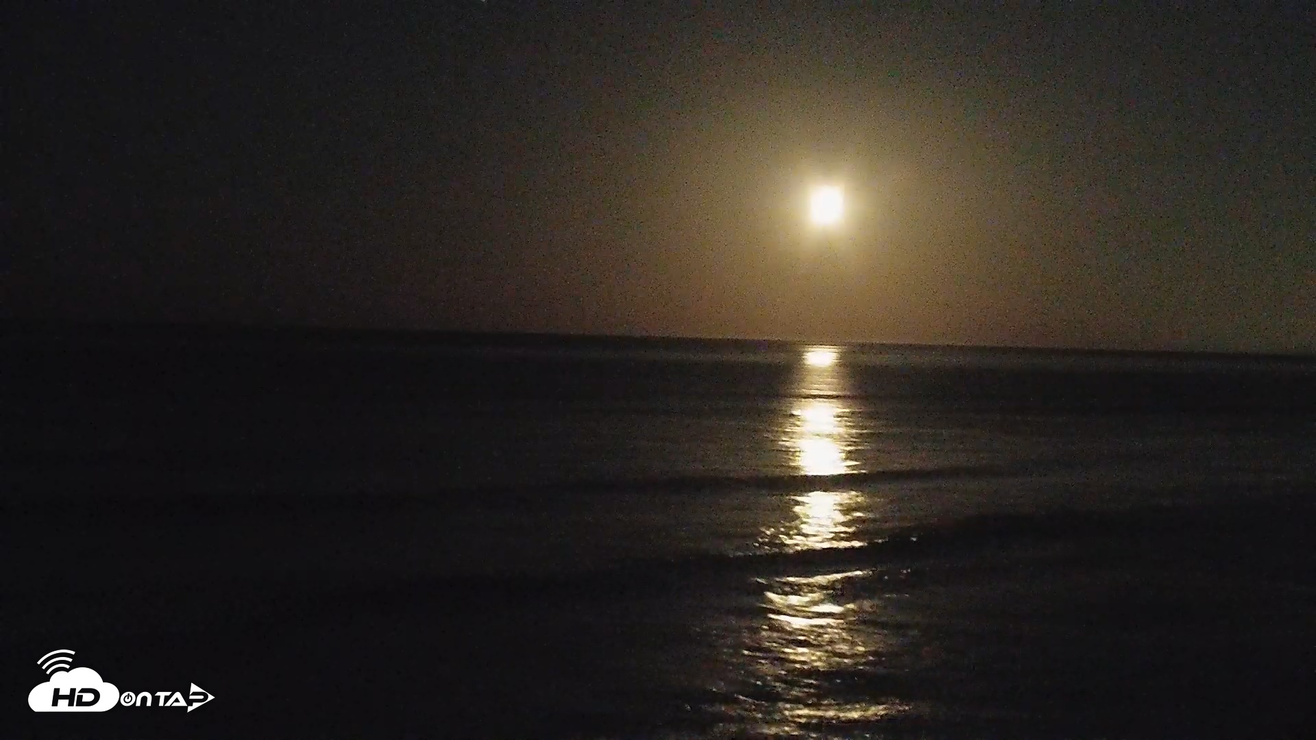 Snapshot of Terramar Point Surf Live Webcam taken Jan 30, 2026, 4:46am PST