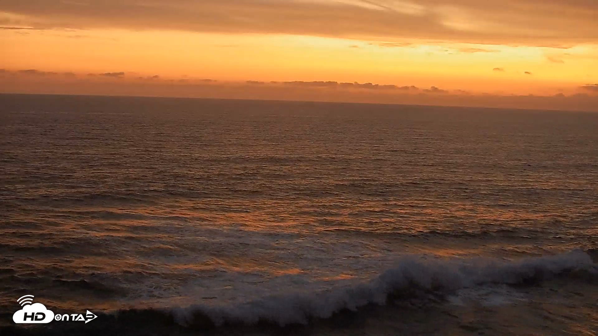 Snapshot of Terramar Point Surf Live Webcam taken Aug 10, 2026, 8:05pm PDT