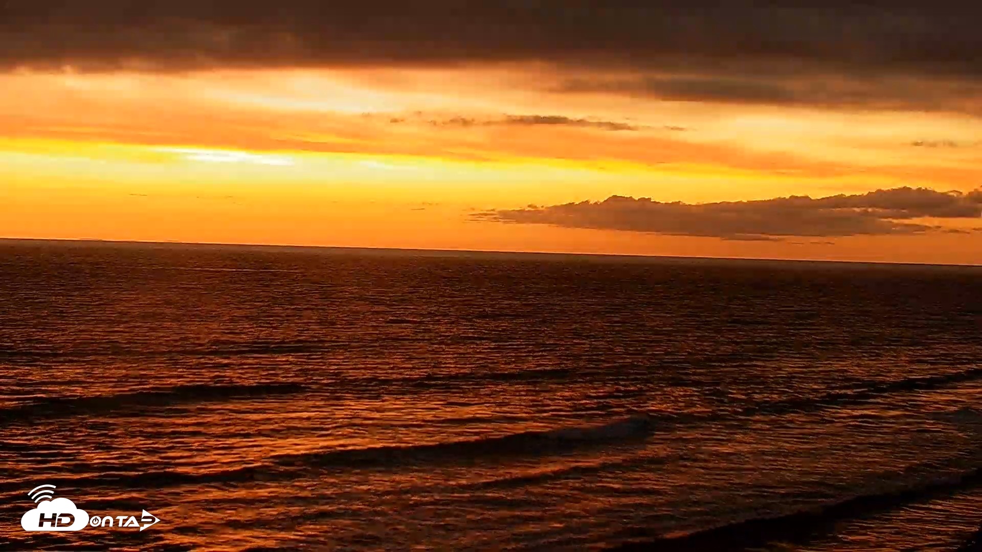 Snapshot of Terramar Point Surf Live Webcam taken Apr 20, 2026, 7:37pm PDT