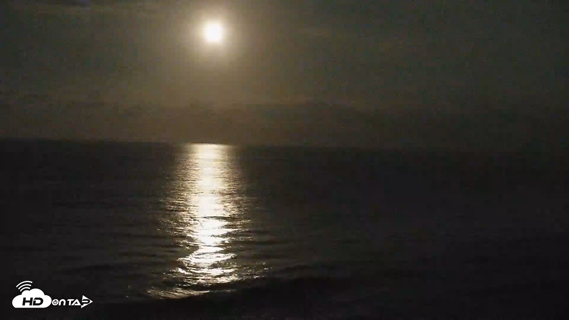 Snapshot of Terramar Point Surf Live Webcam taken Dec 3, 2025, 4:32am PST