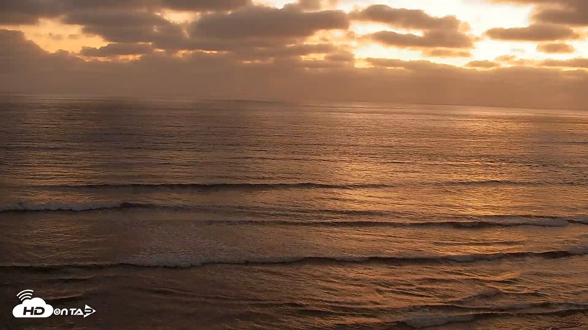 Snapshot of Terramar Point Surf Live Webcam taken Aug 3, 2026, 8:11pm PDT