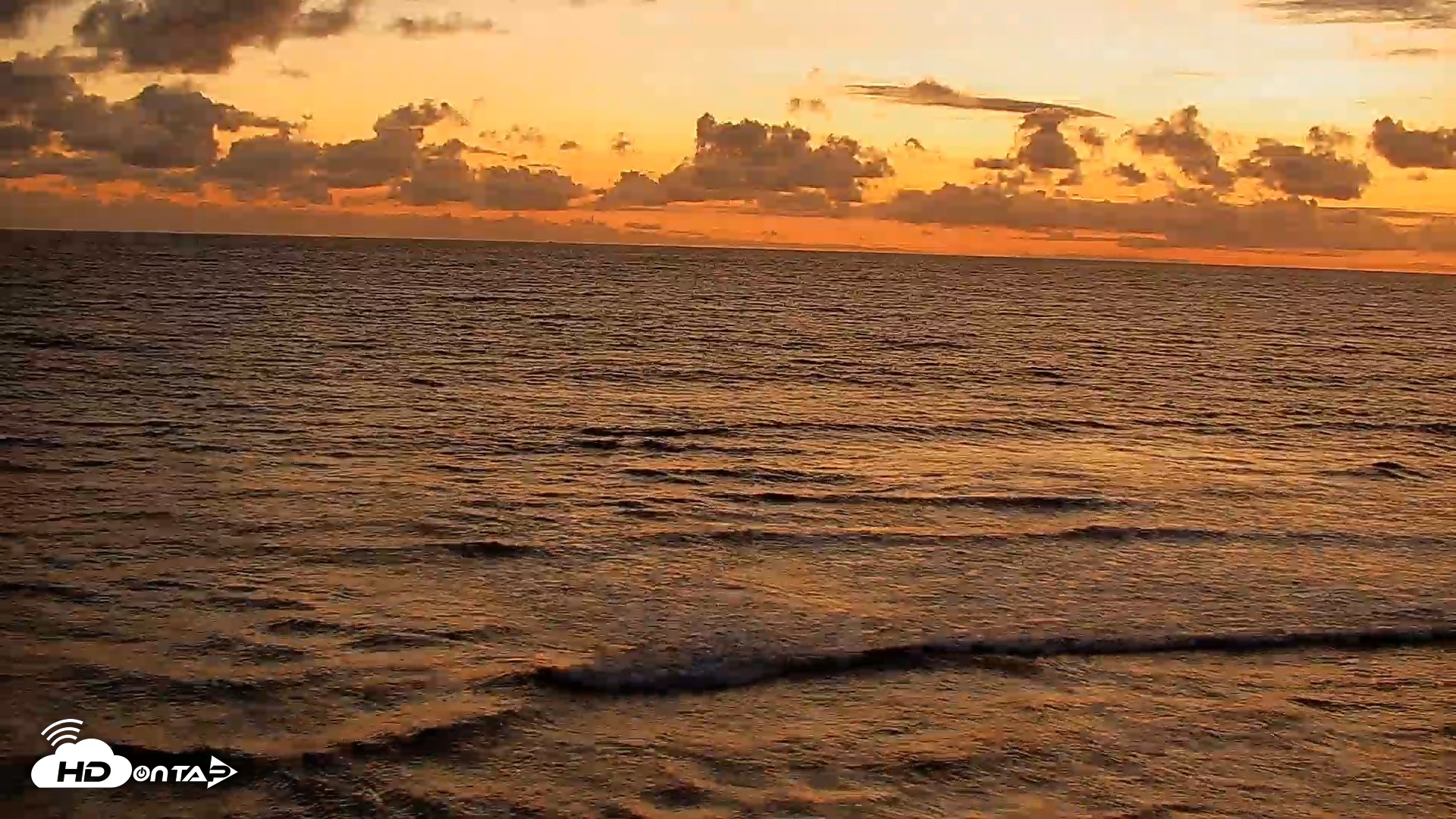 Snapshot of Terramar Point Surf Live Webcam taken May 5, 2026, 7:55pm PDT