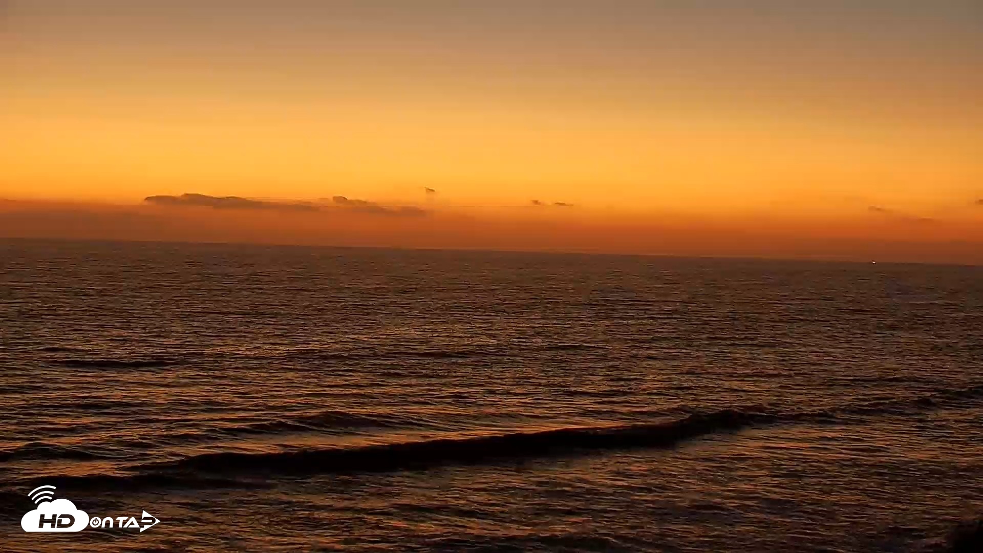 Snapshot of Terramar Point Surf Live Webcam taken Aug 8, 2026, 8:11pm PDT