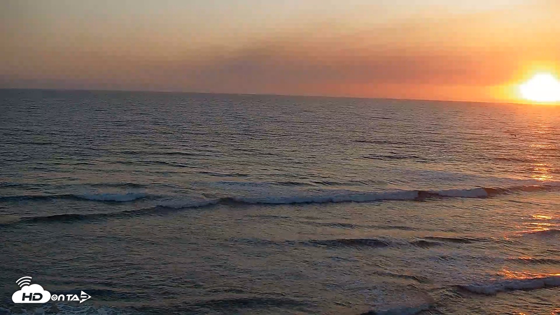 Snapshot of Terramar Point Surf Live Webcam taken May 19, 2026, 7:37pm PDT