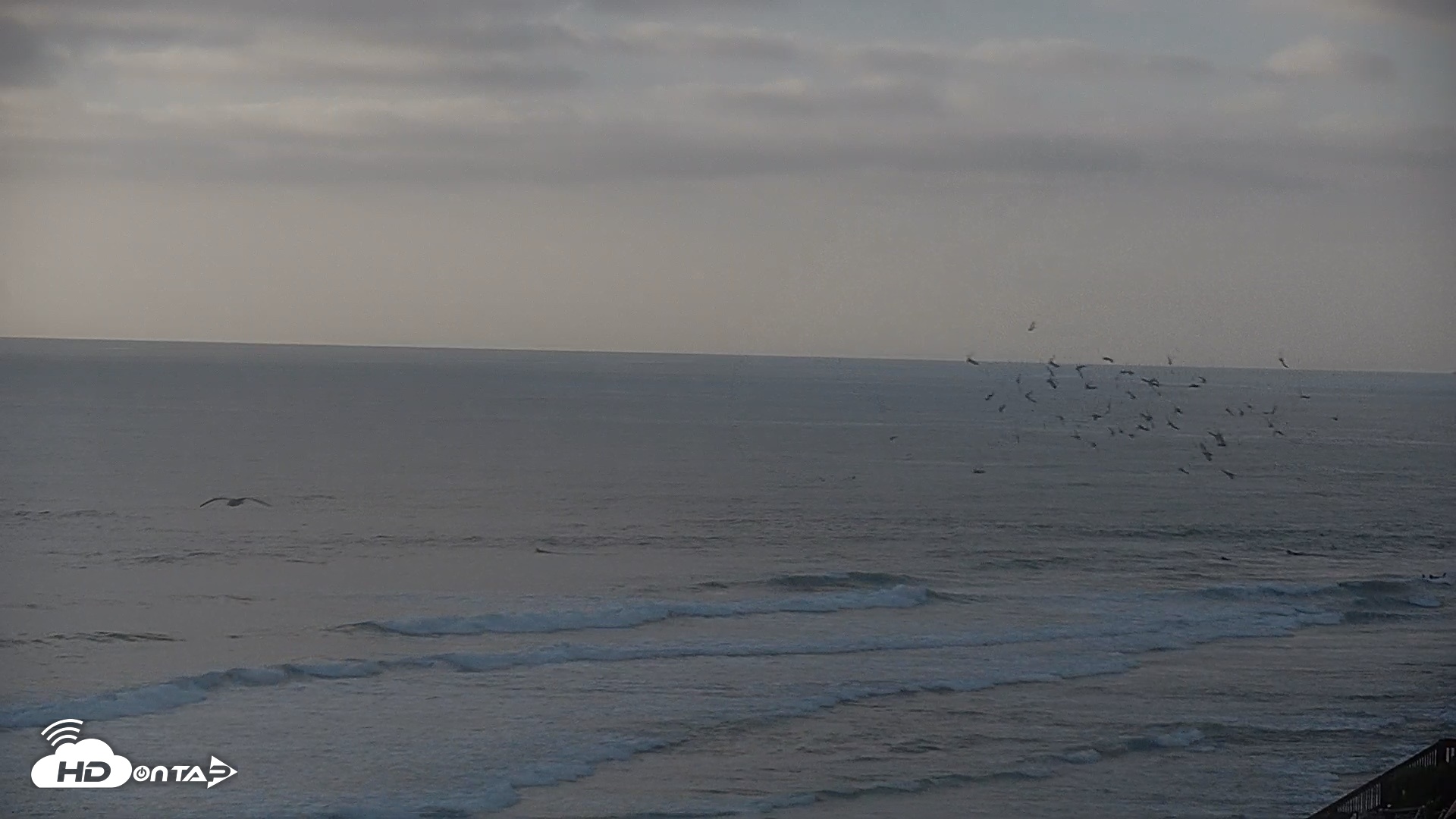 Snapshot of Terramar Point Surf Live Webcam taken Sep 13, 2026, 6:22pm PDT