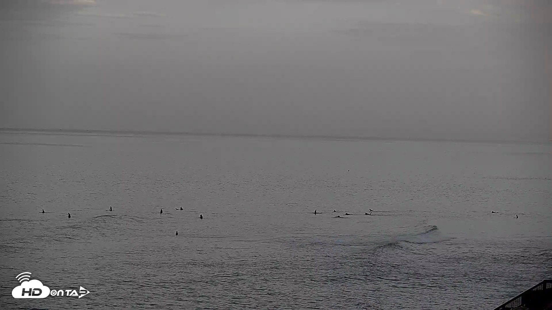 Snapshot of Terramar Point Surf Live Webcam taken Oct 17, 2026, 7:47am PDT