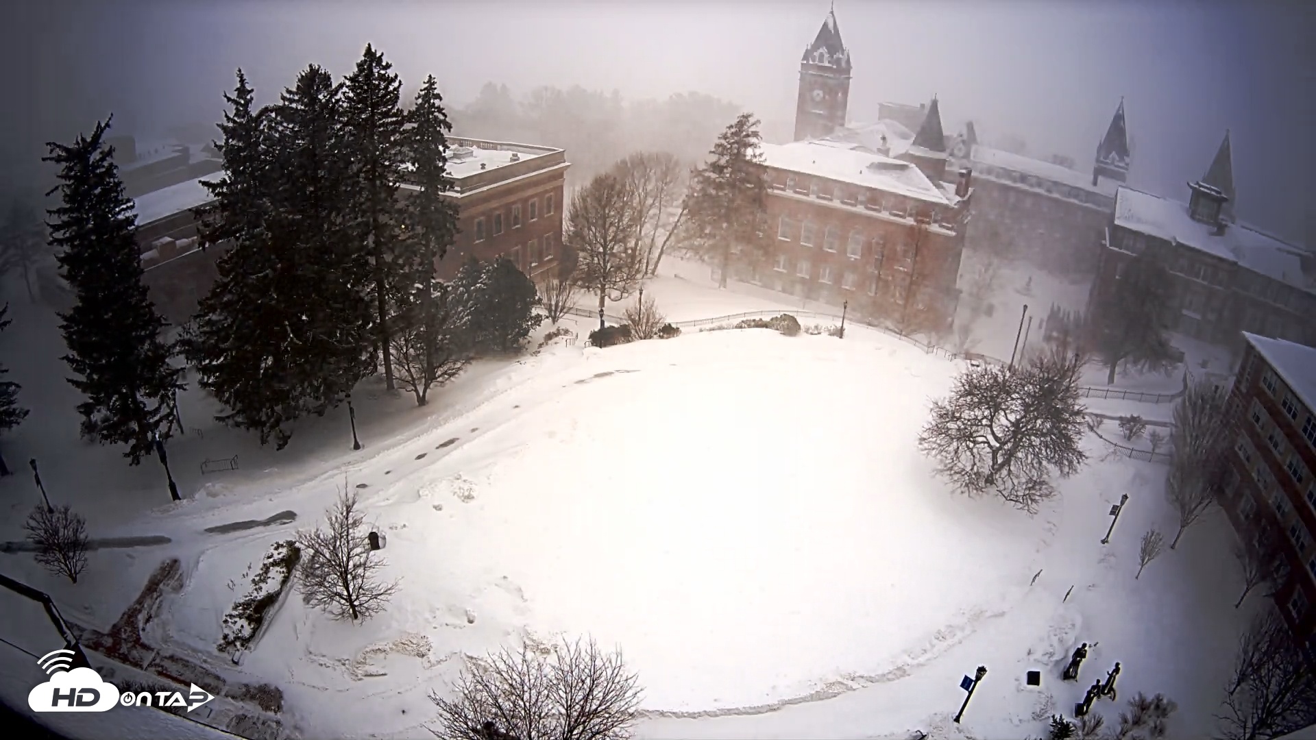 Snapshot of Holy Cross Hogan Courtyard Live Webcam taken Feb 23, 2026, 7:20am EST