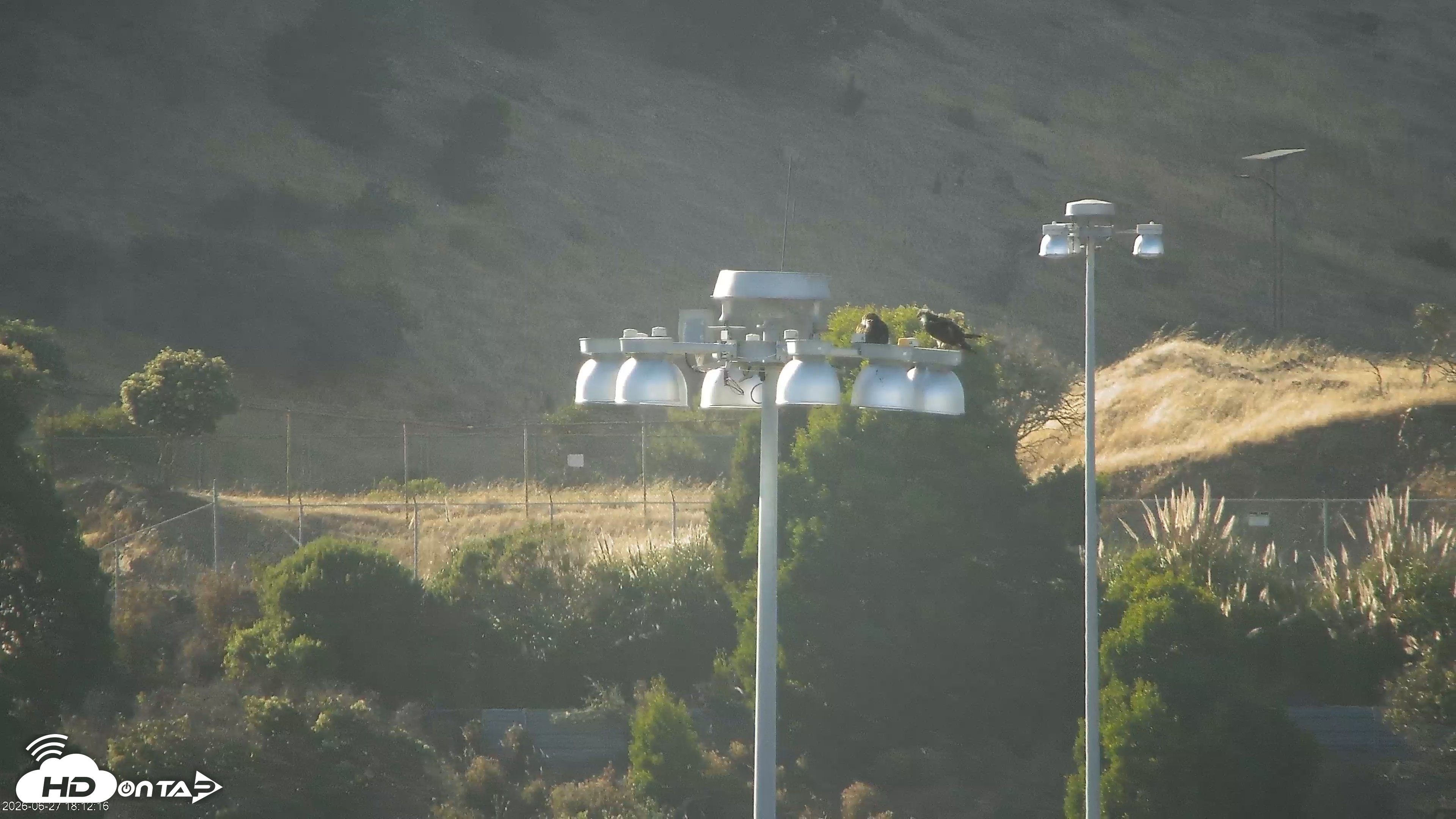 Snapshot of Golden Gate Ospreys Live Crane Cam taken Jun 27, 2026, 6:13pm PDT