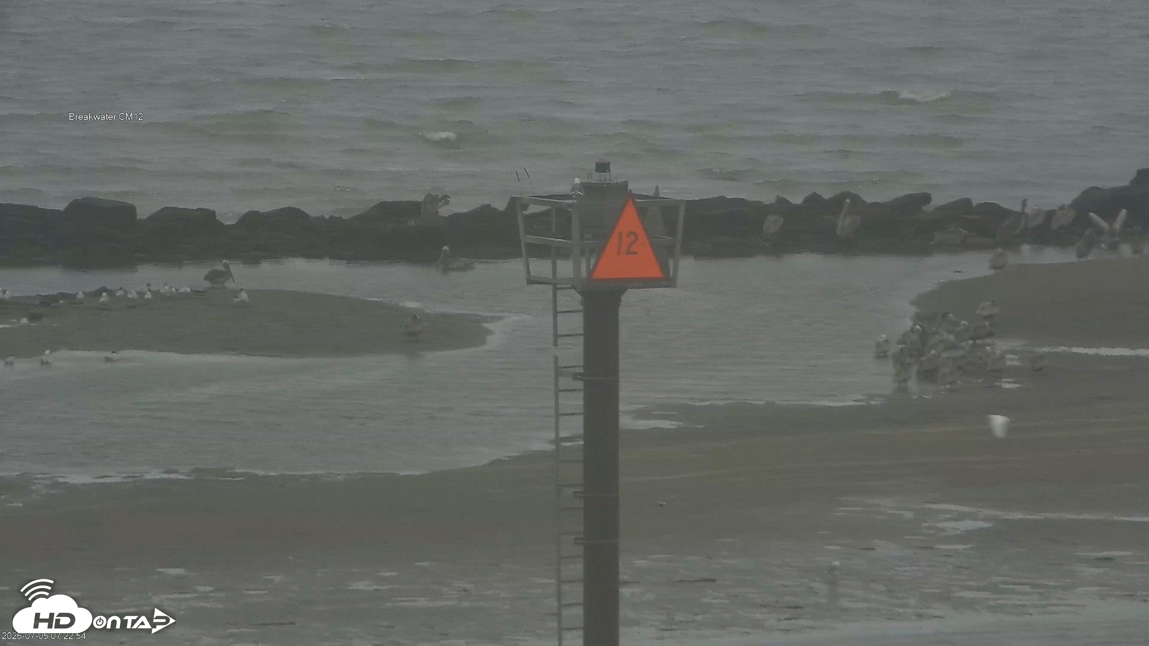 Snapshot of Golden Gate Ospreys Live Crane Cam taken Jul 5, 2026, 7:23am PDT