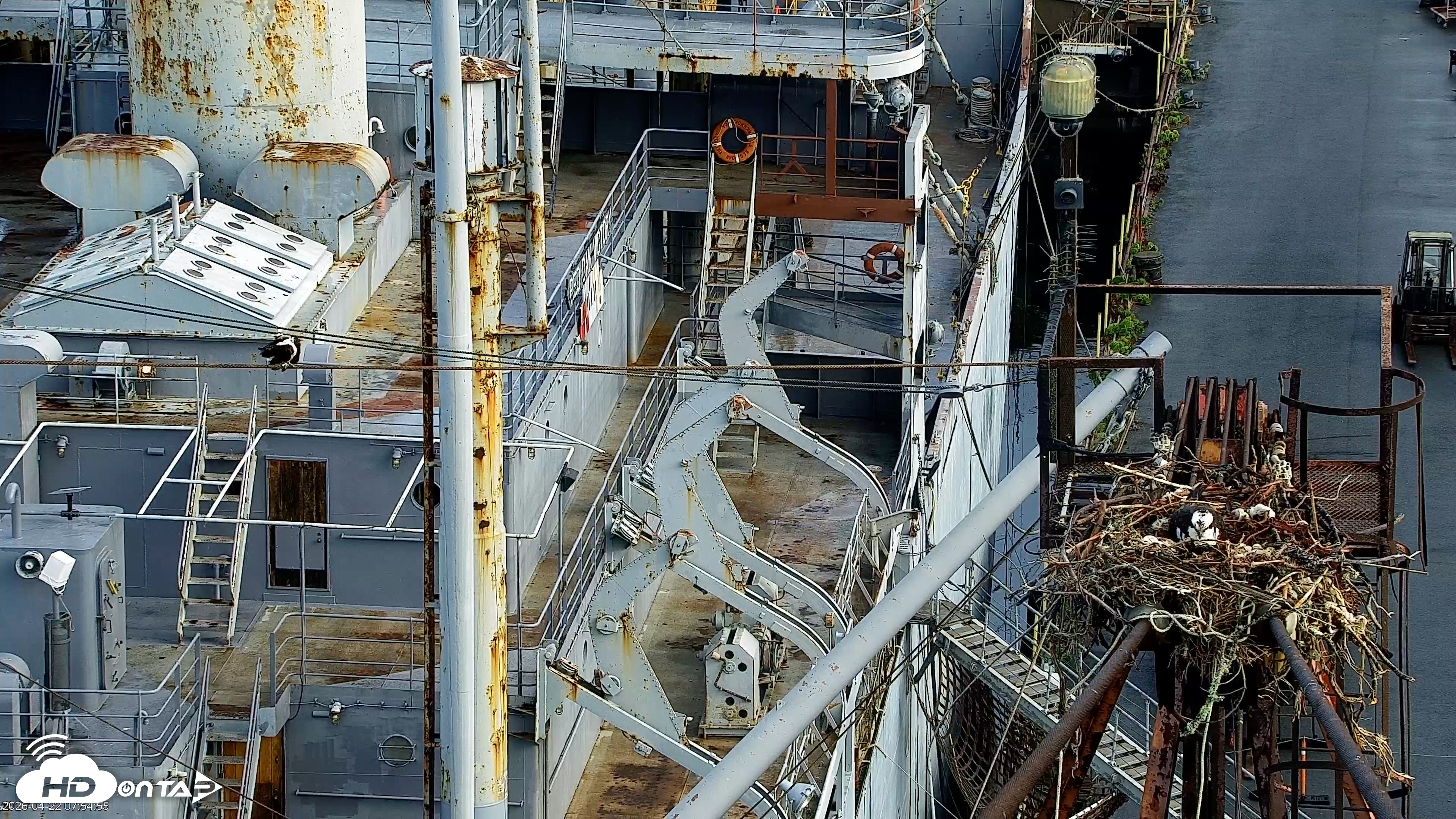 Snapshot of Golden Gate Ospreys Live Crane Cam taken Apr 22, 2026, 7:55am PDT