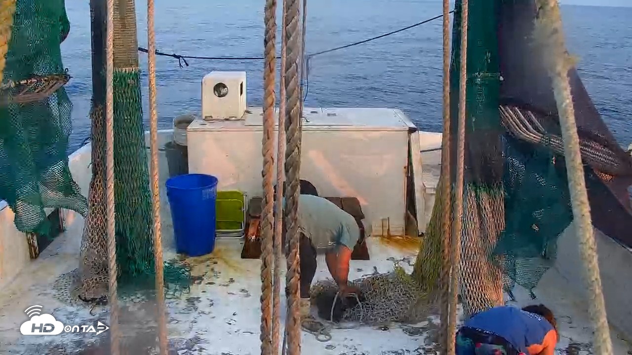 Snapshot of Miss Key West Shrimp Boat Live Cam taken Apr 25, 2026, 7:39pm EDT