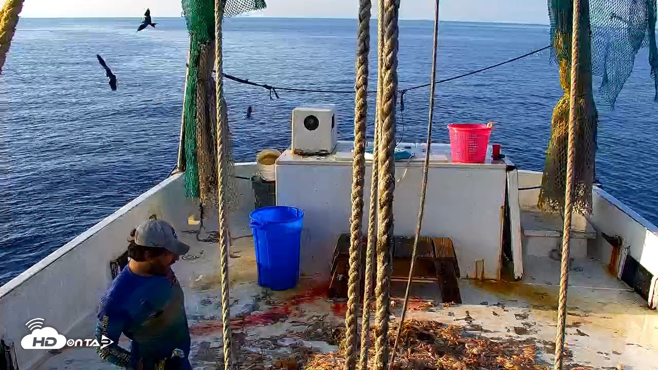 Snapshot of Miss Key West Shrimp Boat Live Cam taken Apr 26, 2026, 7:59am EDT