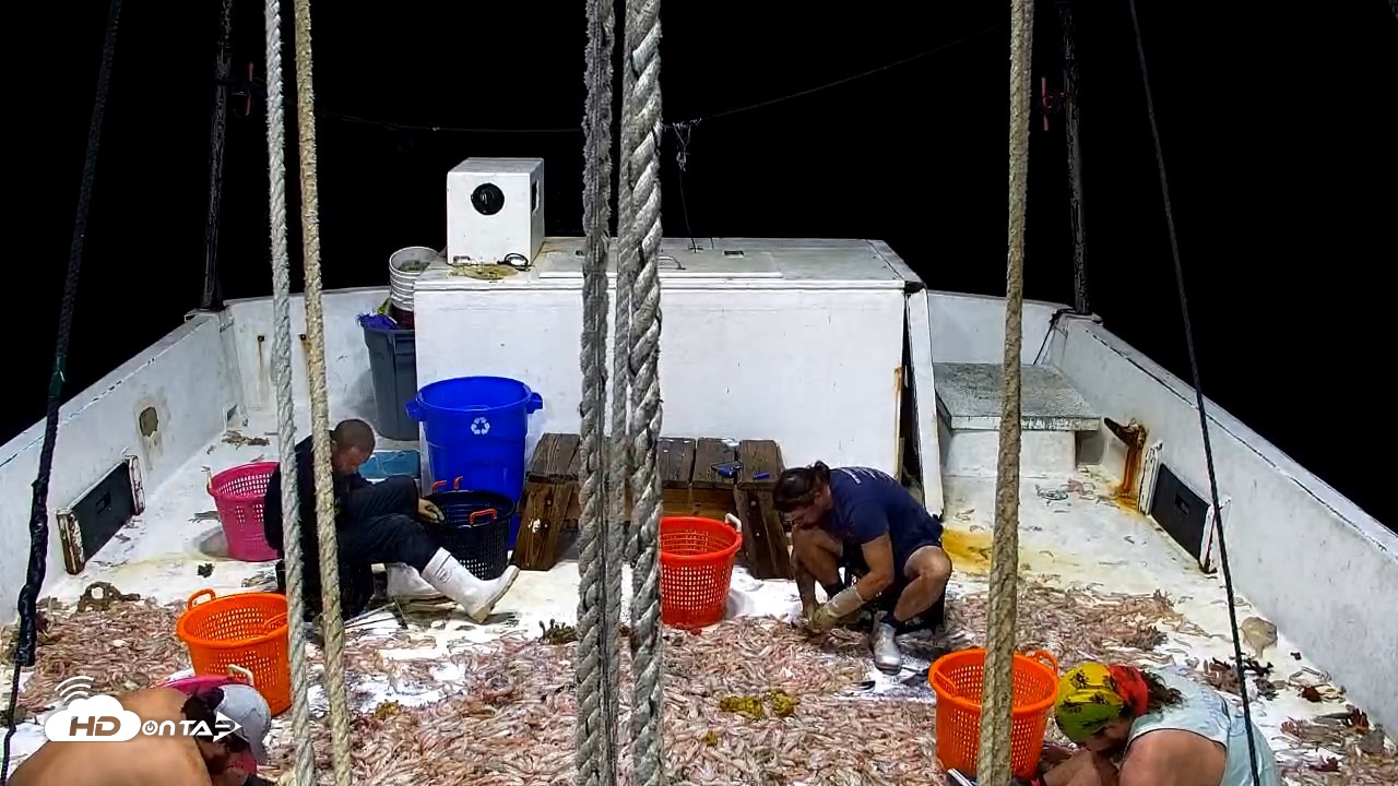 Snapshot of Miss Key West Shrimp Boat Live Cam taken Apr 29, 2026, 2:21am EDT