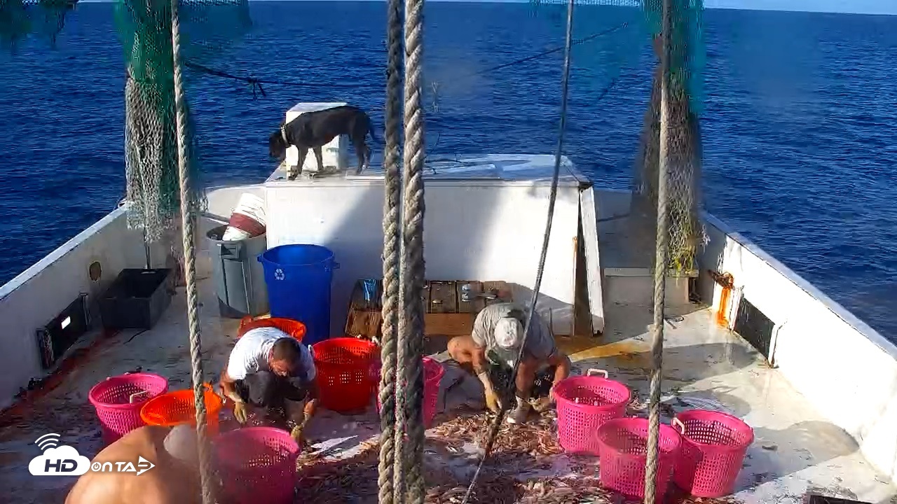 Snapshot of Miss Key West Shrimp Boat Live Cam taken Apr 25, 2026, 8:26am EDT