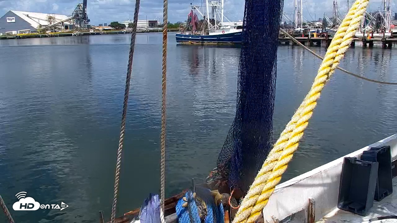 Snapshot of Miss Key West Shrimp Boat Live Cam taken Jul 6, 2026, 11:55am EDT