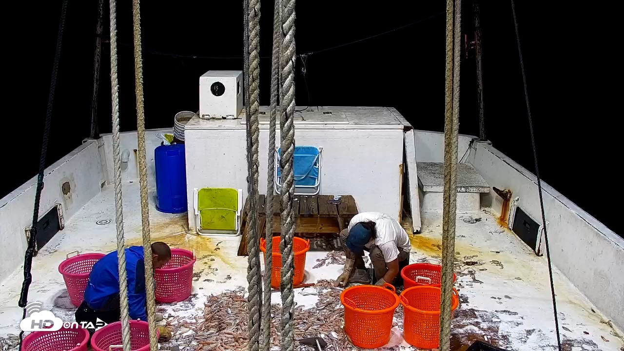 Snapshot of Miss Key West Shrimp Boat Live Cam taken Apr 27, 2026, 3:08am EDT