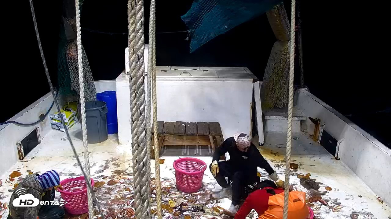 Snapshot of Miss Key West Shrimp Boat Live Cam taken Apr 20, 2026, 2:05am EDT