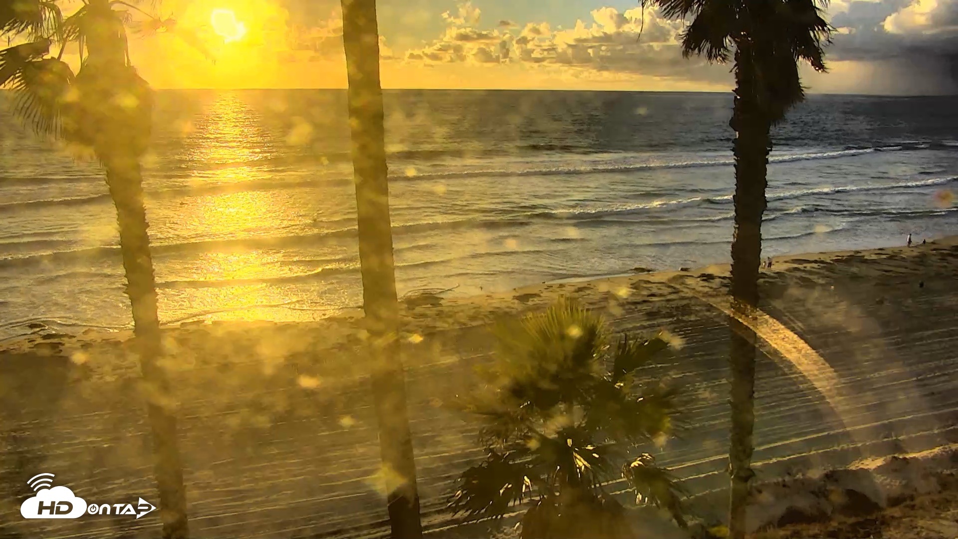 Snapshot of Pacific Beach Live Surf Webcam taken Oct 22, 2026, 5:45pm PDT