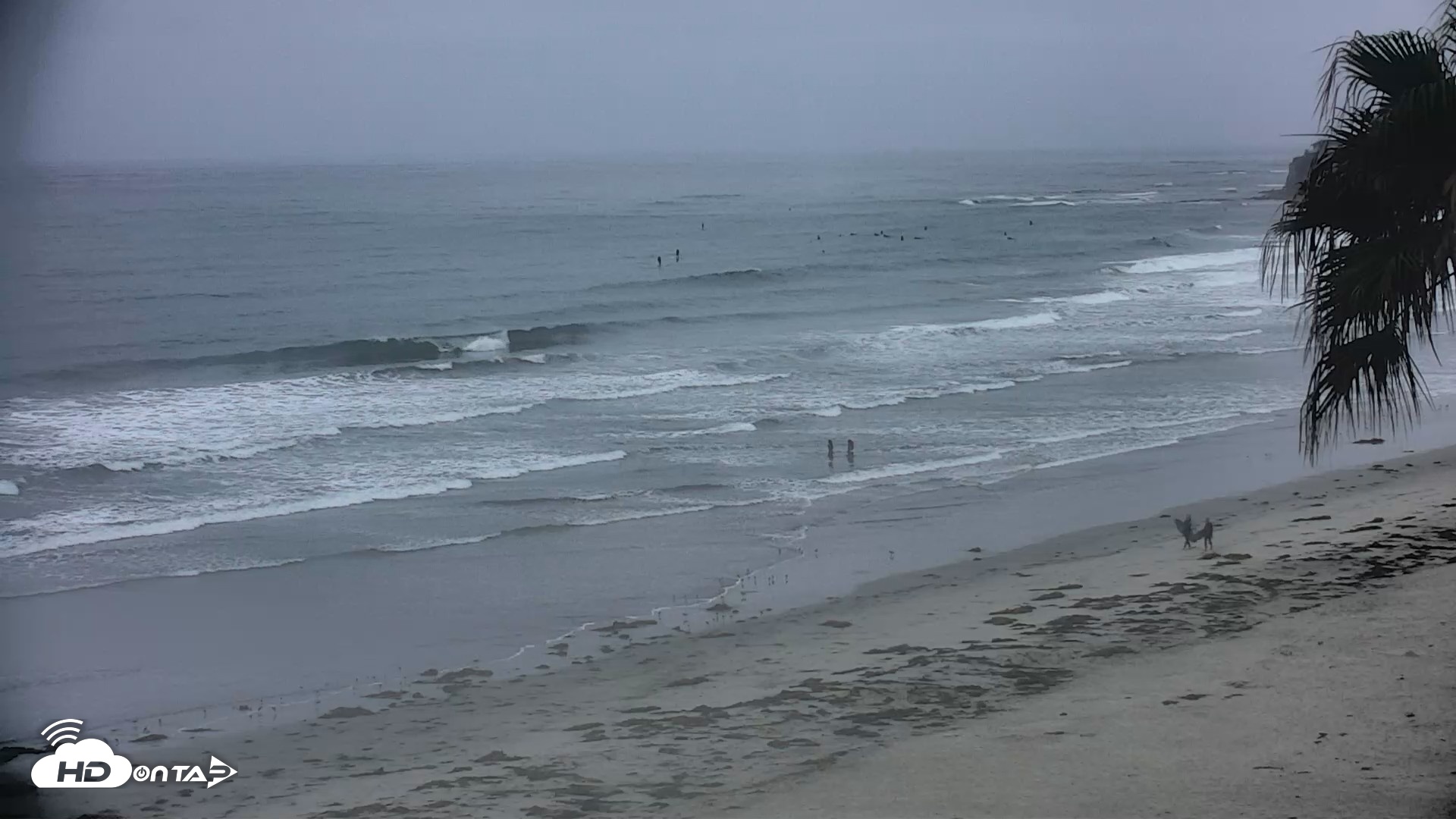 Snapshot of Pacific Beach Live Surf Webcam taken Jul 24, 2026, 6:07am PDT