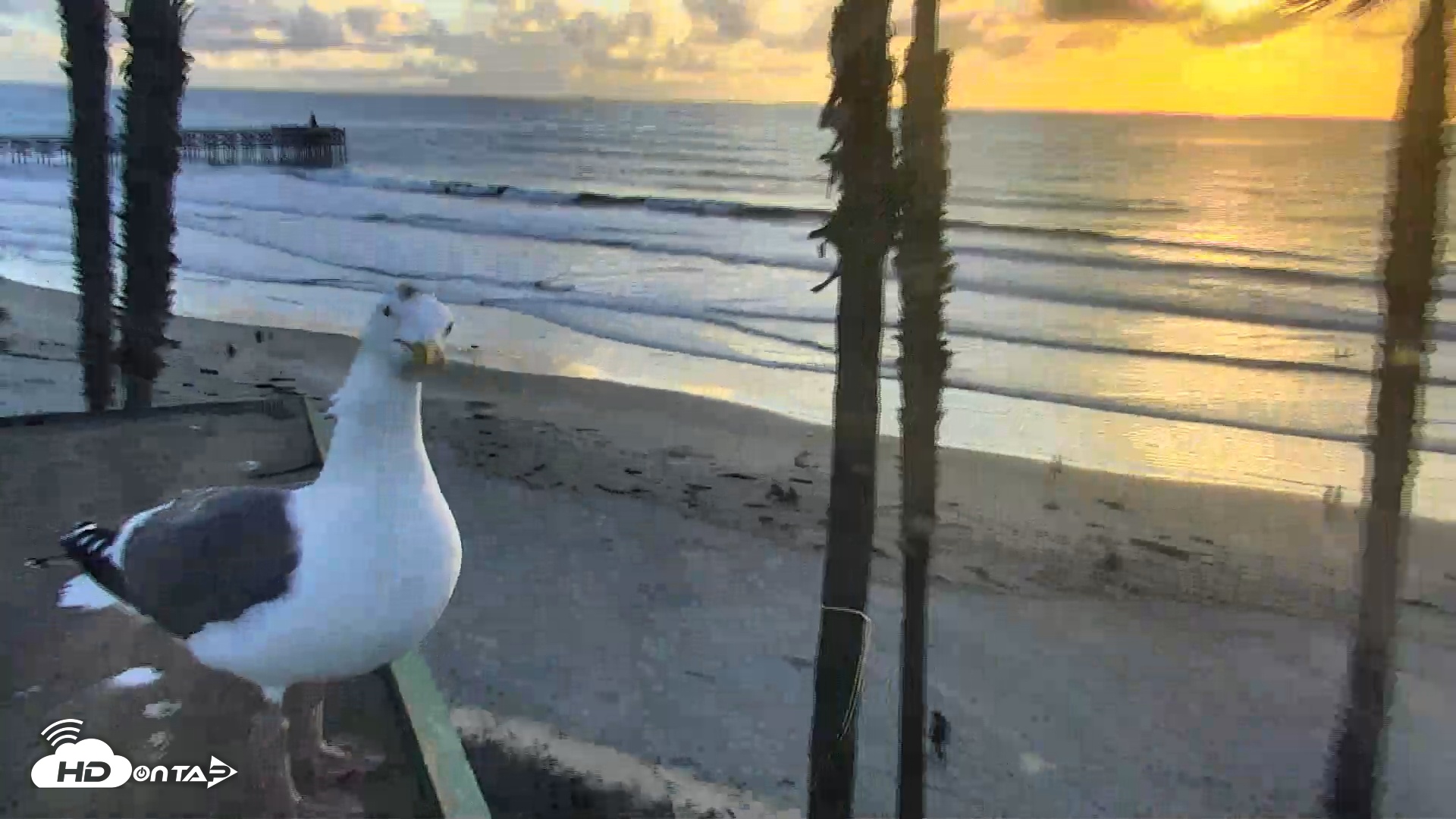 Snapshot of Pacific Beach Live Surf Webcam taken Dec 27, 2025, 4:26pm PST