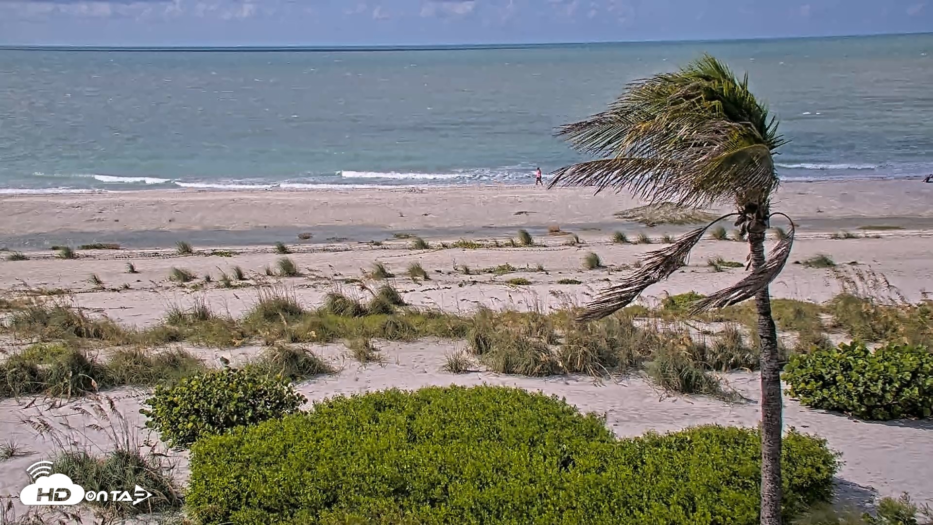 Snapshot of Oceans Reach Sanibel Island Live Cam taken Jul 29, 2026, 10:22am EDT